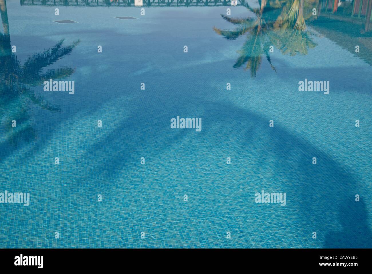 Reflexionen in blauen Schwimmbädern mit tropischen Palmen. Pool mit blauen Mosaikfliesen. Stockfoto