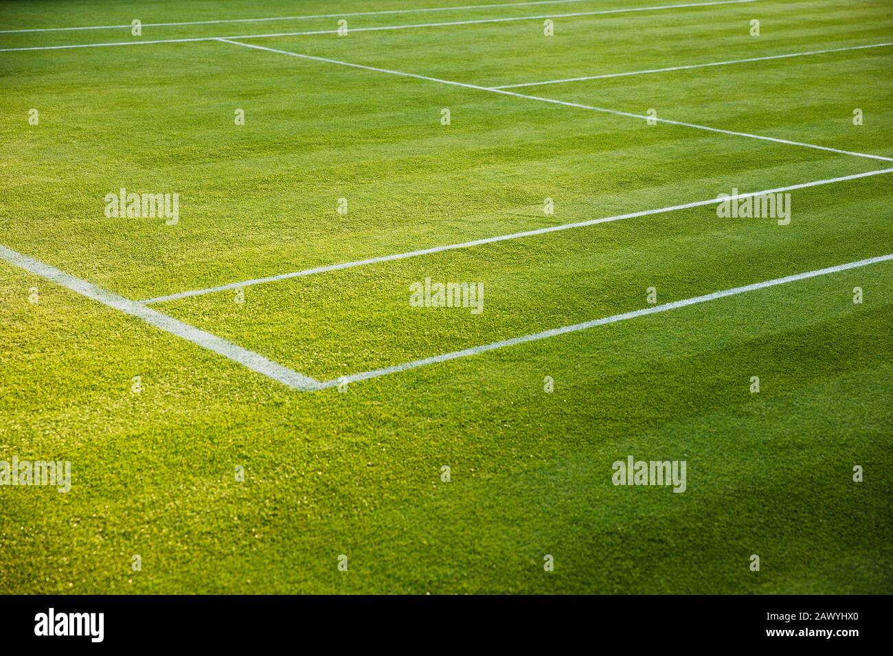 Lebendiger grüner Tennisplatz Stockfoto