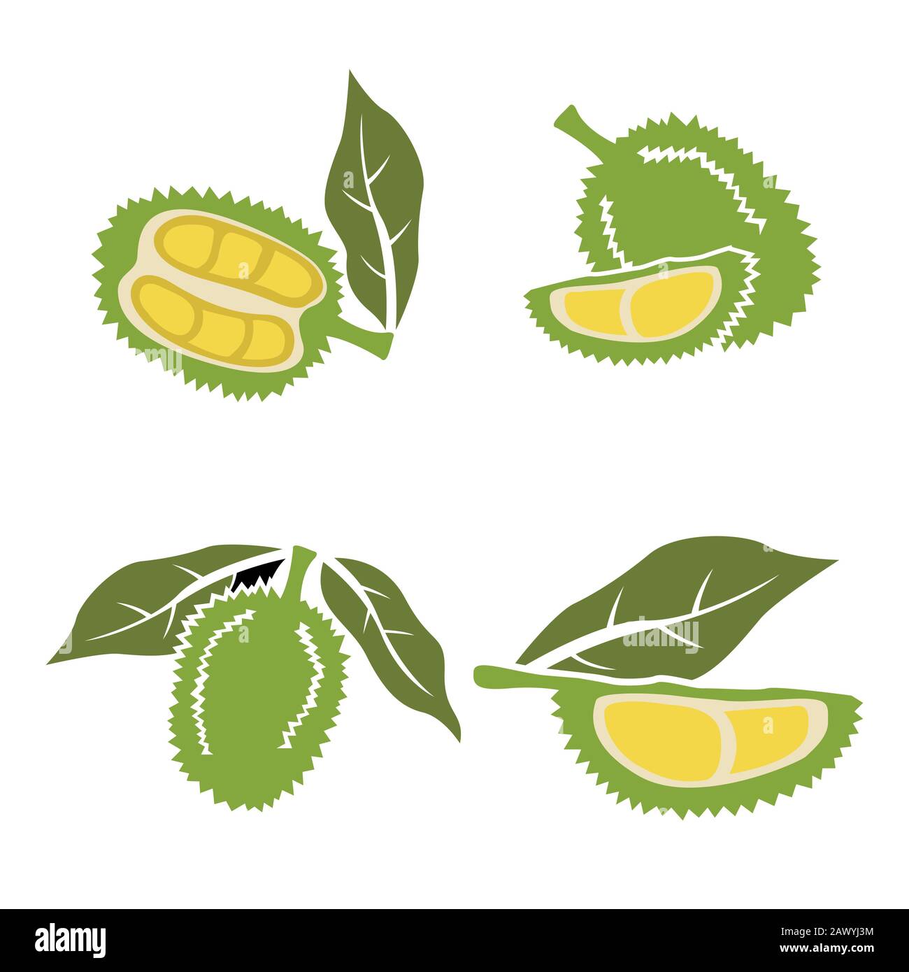 Flacher Durian und Schnittstückvektor mit isoliertem weißem Hintergrund.King of Fruit.Tropical Fruit. Stock Vektor