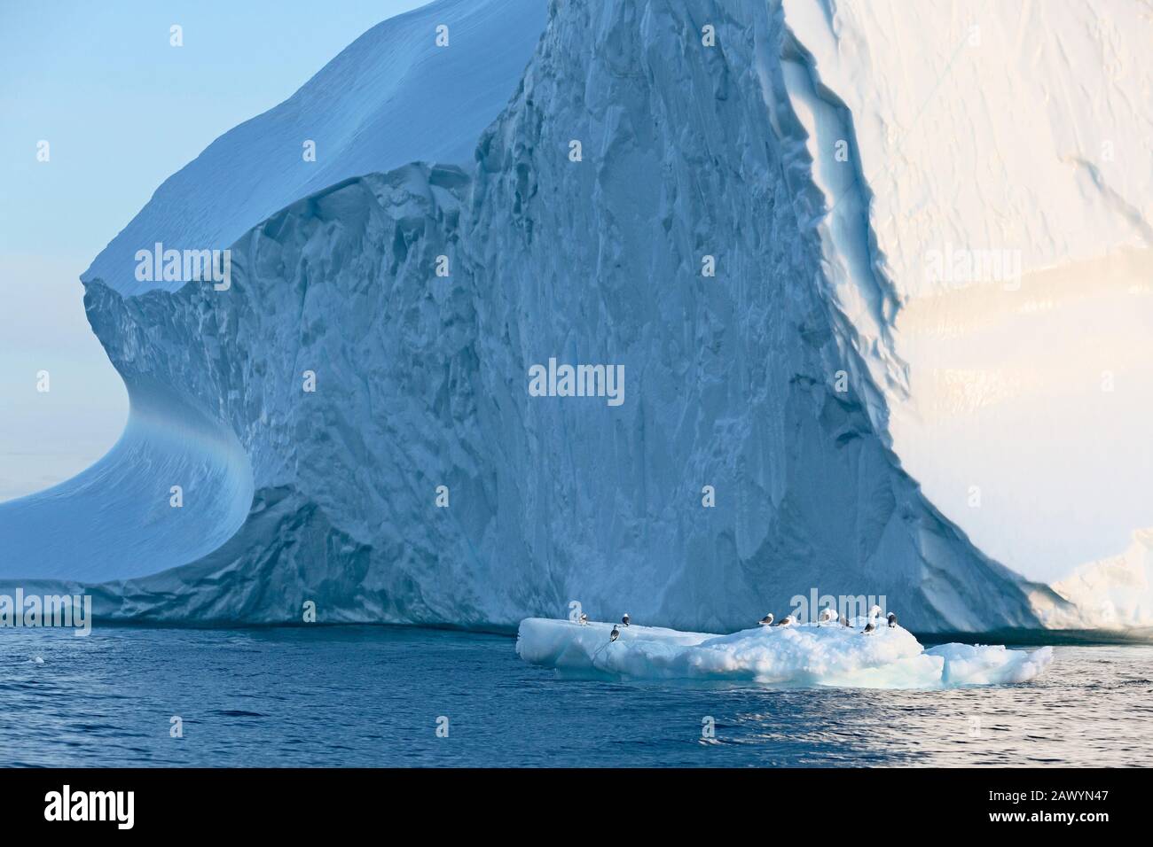 Vögel unterhalb der majestätischen Eisberg-Formation Grönland Stockfoto