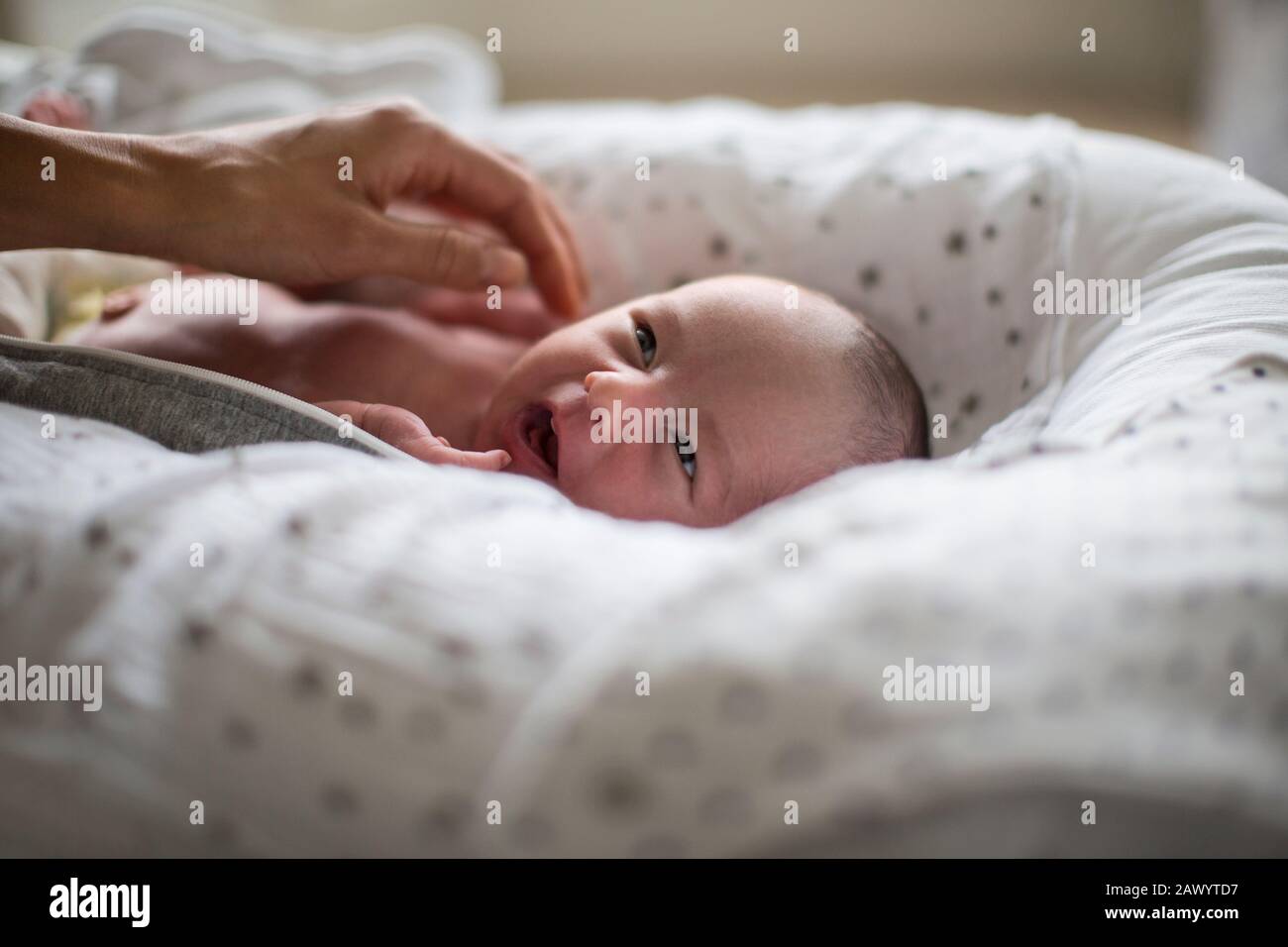 Niedlicher neugeborener Junge im Bassinett Stockfoto