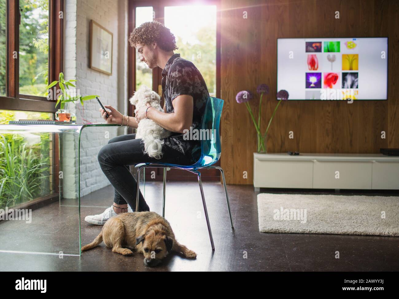 Junger Mann mit Hunden, der im Heimbüro mit Smartphone telefoniert Stockfoto