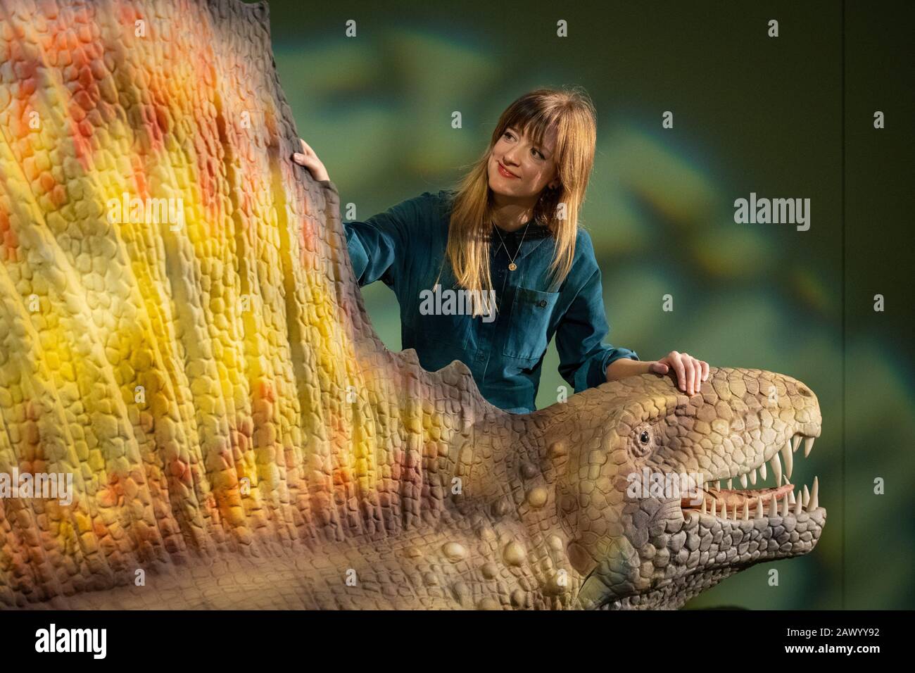 Die Ausstellungsbeauftragte Kerstin Doble sieht ein Modell eines Dimetrodons, während der Vorschau für die Ausstellung "Permian Monsters: Life Before the Dinosaurs" des Horniman Museums im Süden Londons. Stockfoto