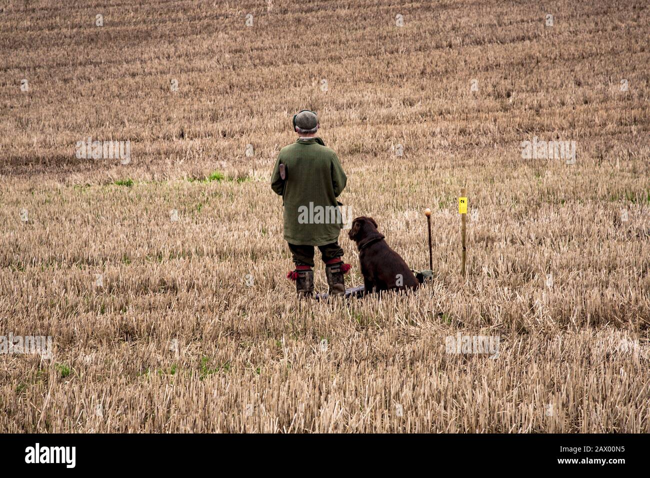 Gealterter Rüde und sein Hund stehen auf dem Feld und warten Den Steinbruch abholen Stockfoto