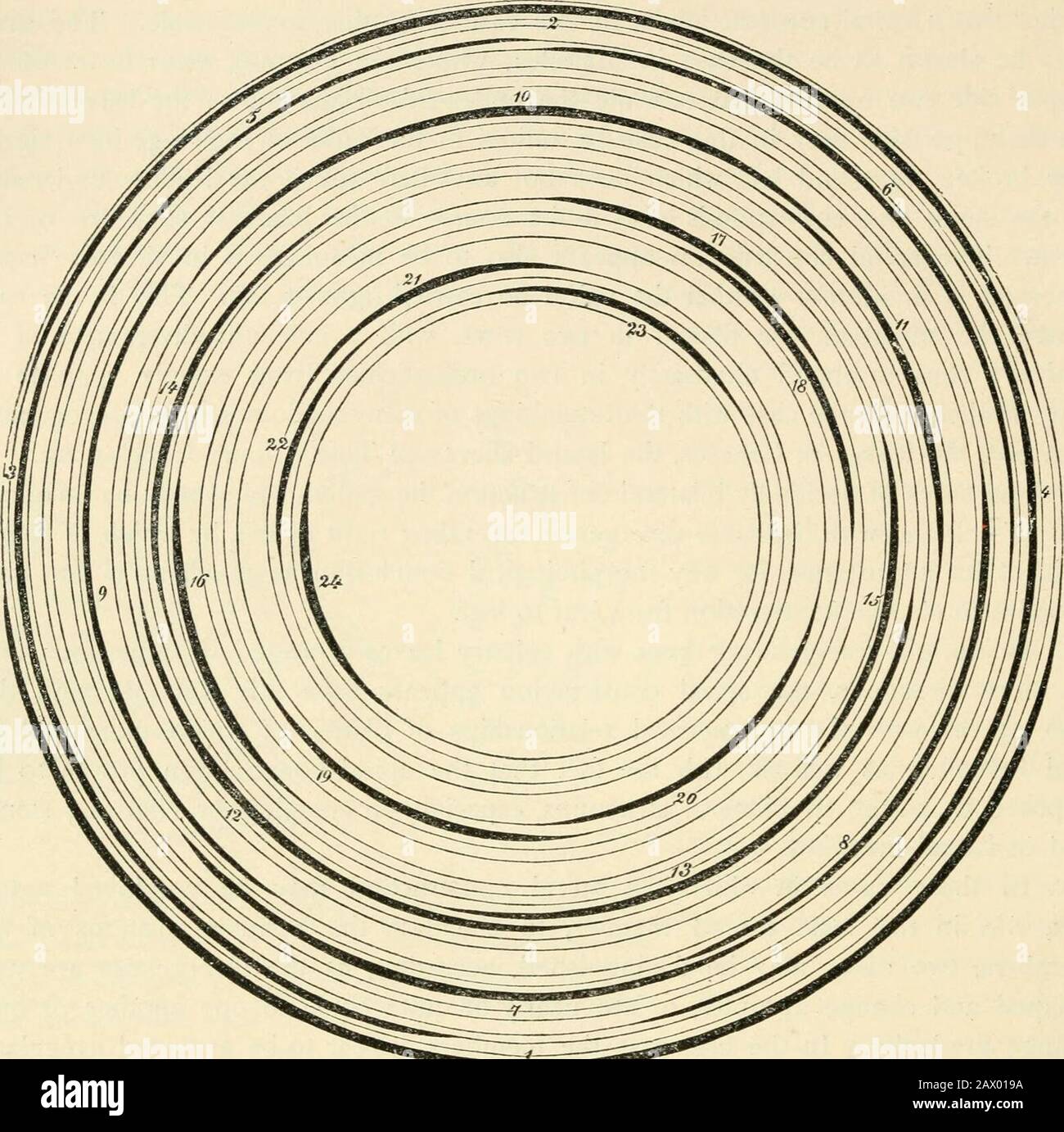 Textbuch der Botanik, der Morphologie und der physiologischen . zu Komplizendivergenzen, die schließlich zu Rosetten von Blättern führen, die auf allen Seiten strahlen. Thistritt auf, z. B. bei den Aloe ciliaris, laii/olia, brachyphylla, lingua, nigricans und Serra.Fig. 144 zeigt den Querschnitt eines Sprossens der zuletzt genannten Art; die ersten sechs Blätter sind genau abwechselnd m zwei Reihen mit einer Konstantdivergenität angeordnet; beim 7. Blatt wird diese Anordnung plötzlich geändert; statt über 5 zu stellen, liegt ihre Position zwischen 5 und 6. Aber das 8. Blatt hat die Abweichung vom 7., das 9. Agai Stockfoto