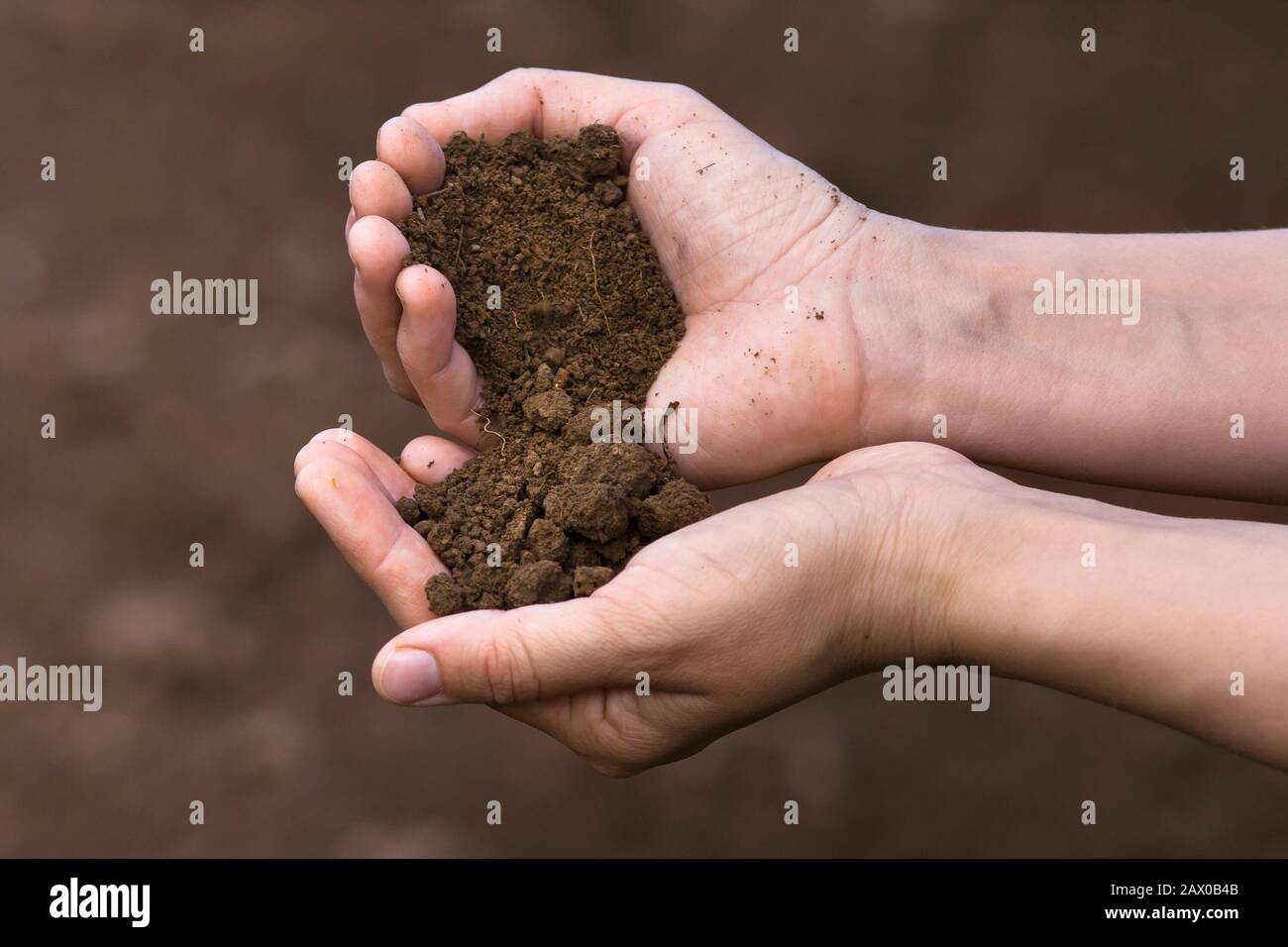 Fruchtbarer Boden in den Händen von Frauen Stockfoto