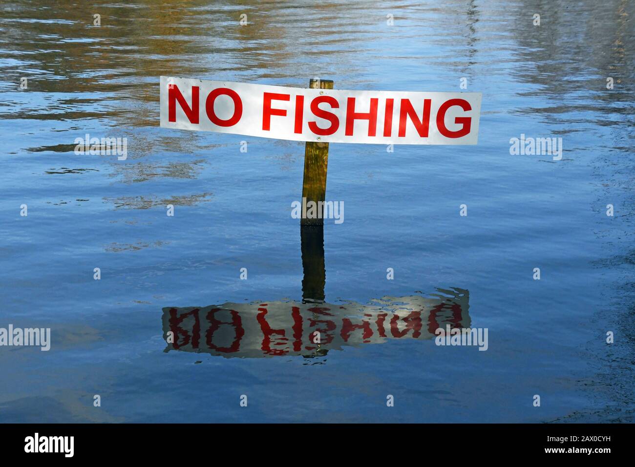 Kein Angelschild in Hailsham Pond, East Sussex, Großbritannien Stockfoto