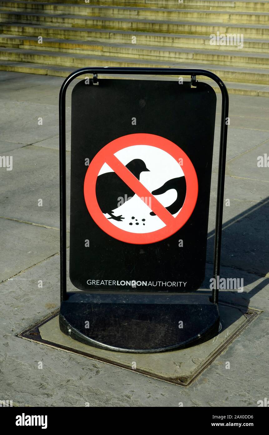Großbritannien, London, untersagte Futtertauben auf dem Trafalgar Square Stockfoto