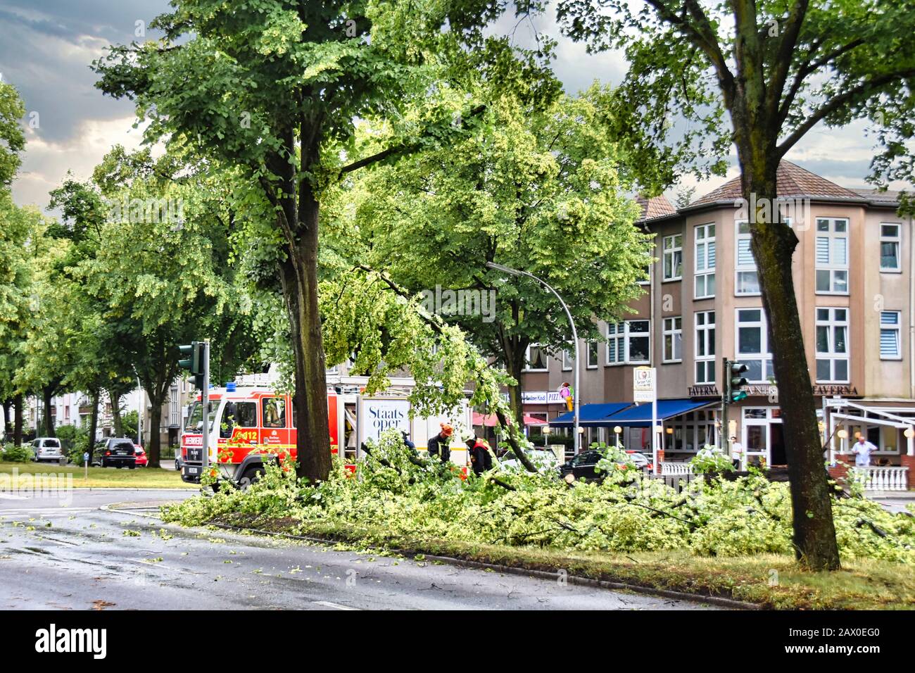 Berlin, Deutschland - 12. Juni 2019: Ein entwurzelter Baum, der nach einem schweren Sturm auf einer Hauptstraße in Berlin liegt. Die Polizei blockiert die Straße und Stockfoto