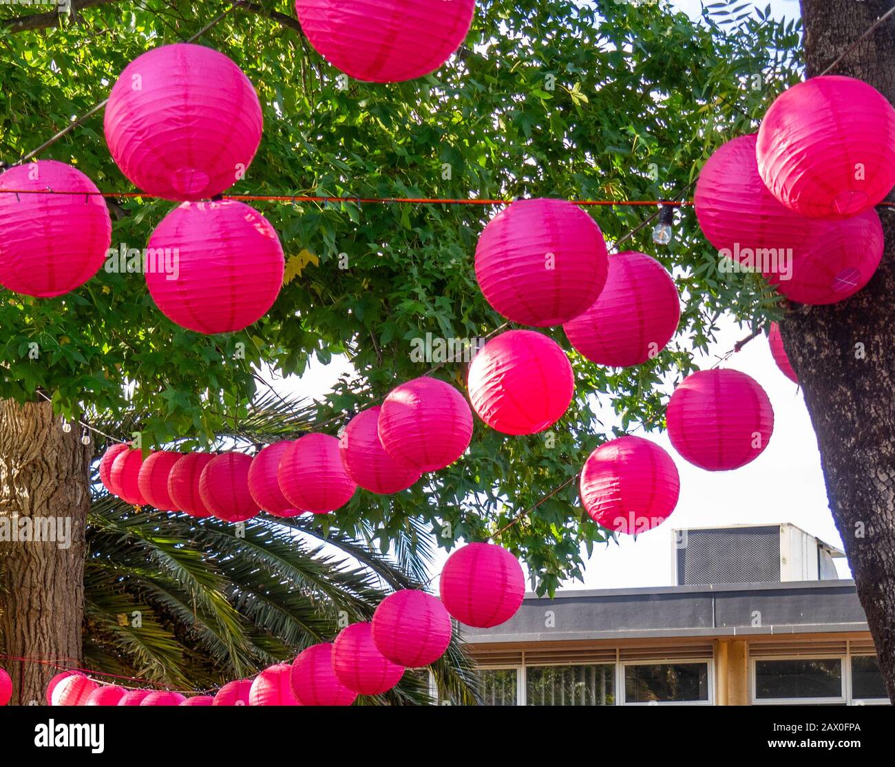 Rosa Papierlaternen Dekorationen auf Dem Little Italy Street Festival Extravaganza Perth Fringe World 2020 Bassendean WA Australia Stockfoto