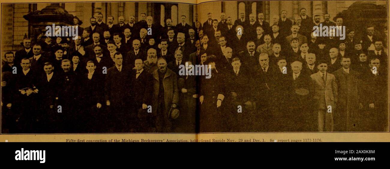 Die Bee Kultur ist gewanscht, sehr wissentlich und langsam winkelt. Ja, Johnnie, sagte ich ihm, im Goingto tue genau so, sobald ich in die Stadt überkomme, um einen Raucher zu bekommen. Er muss nicht in die Stadt gehen, sondern er hat sich gewöhnt, einen püffektisch guten Raucher an meinen Platz gebracht und so willkommen wie lecker. Nun, sagte ich, Ive erhielt auch, um Frames kabelgebunden zu bekommen, und - ich bekam nicht weiter, denn Johnnie brach mit einem Schnort herein: Jetzt, Maam, nicht Ye Go gittin törishlike thet! Warum, sie drähten, ist die Wehmut, die ihr könnt ])ut inter hive. Sie jestplays alle Arten von Tricks, und thej^ll machen yeall Arten von t Stockfoto