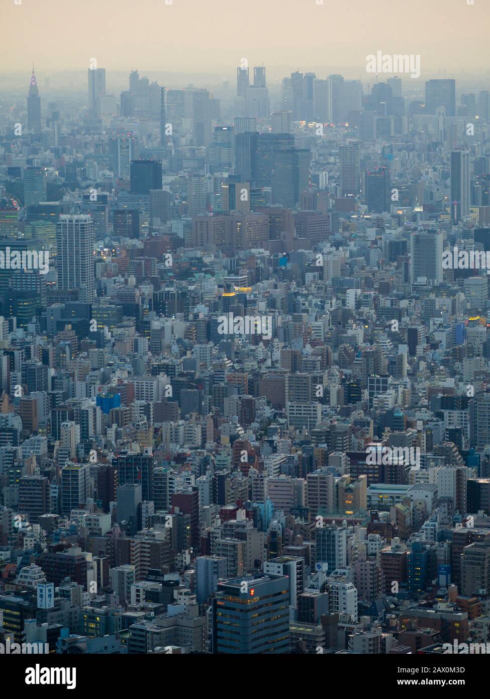 Tokio, Japan - 10. Oktober 2018: Erhöhter Blick auf die Tokioter Metropole und die Skyline der Stadt. Stockfoto