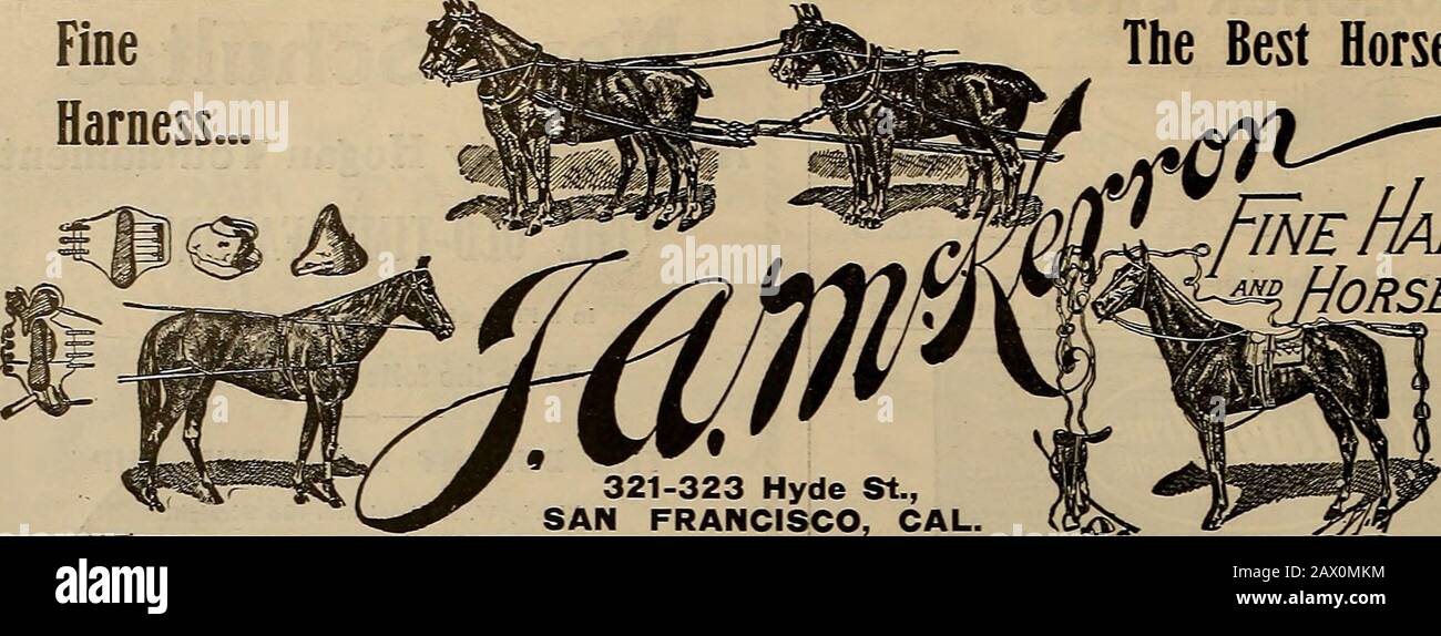 Züchter und Sportler . Melden Sie sich für den Züchter und Sportler an. Der ZÜCHTER UND SPORTLER [Samstag, 9. Oktober 1909. Finekabelbaum Die Besten Pferdestiefel Fine Harness Norse STIEFEL Coast Shooters Achtung! LL M C STAHL LINIERT SHELLSWONTHE PAZIFIKKÜSTE HANDICAP Mr., John Noel brach 96 und 20 direkt im Schießen aus und gewann den großen Preis von einem Feld führender Ost- und Westaufnahmen. Wissen Sie, dass U M C Steel Lined Shells die 5 klassischen Interstate-Handicaps von 1909 direkt in Folge gewonnen haben, Viz: The Southern, The Grand American, The Eastern, The Western and the Pacific Coast. Dies ist ein Stockfoto