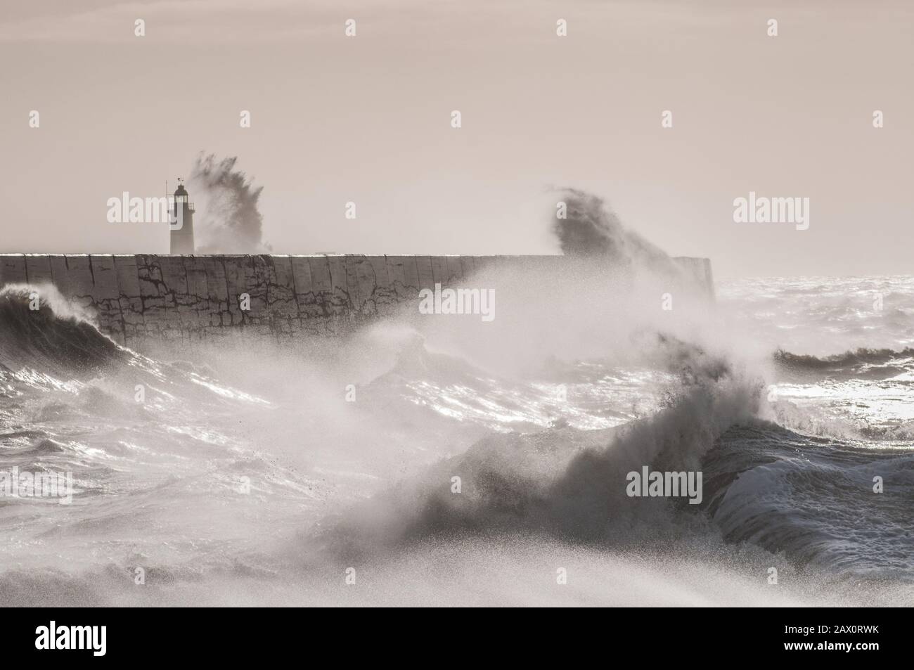 Newhaven, East Sussex, Großbritannien. Februar 2020. Ein hellerer Tag an der Südküste sieht spektakulärere Szenen. Sturmflut & Flut im zuge des Sturms Ciara mit wieder stärkender Windpeitsche das Meer hoch. Nicht ganz die Massen von gestern, aber viele Fotografen und Zuschauer sind anwesend. Credit: David Burr/Alamy Live News Stockfoto