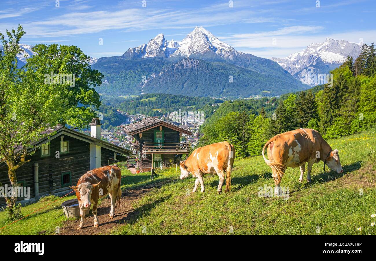 Schöne Panoramasicht auf idyllischen Berglandschaft mit traditionellen Berghütten und grasende Kühe auf grünen Wiesen an einem sonnigen Tag Stockfoto