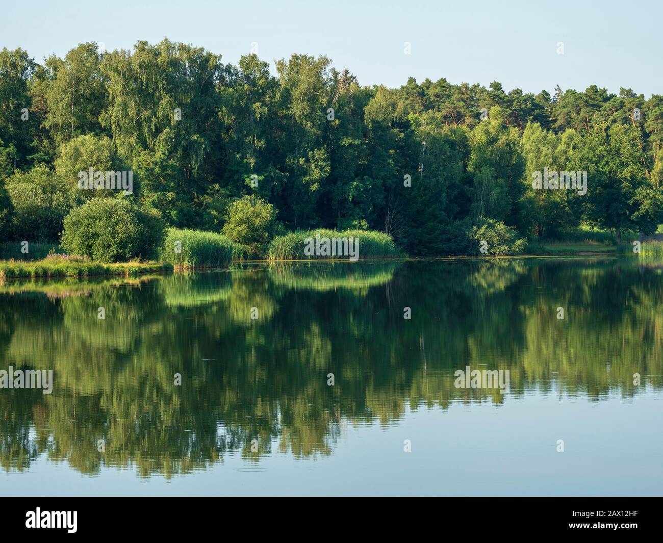 Rothsee, Franken, Bayern, Deutschland, Rothsee, Franconia, Bayern, Deutschland Stockfoto