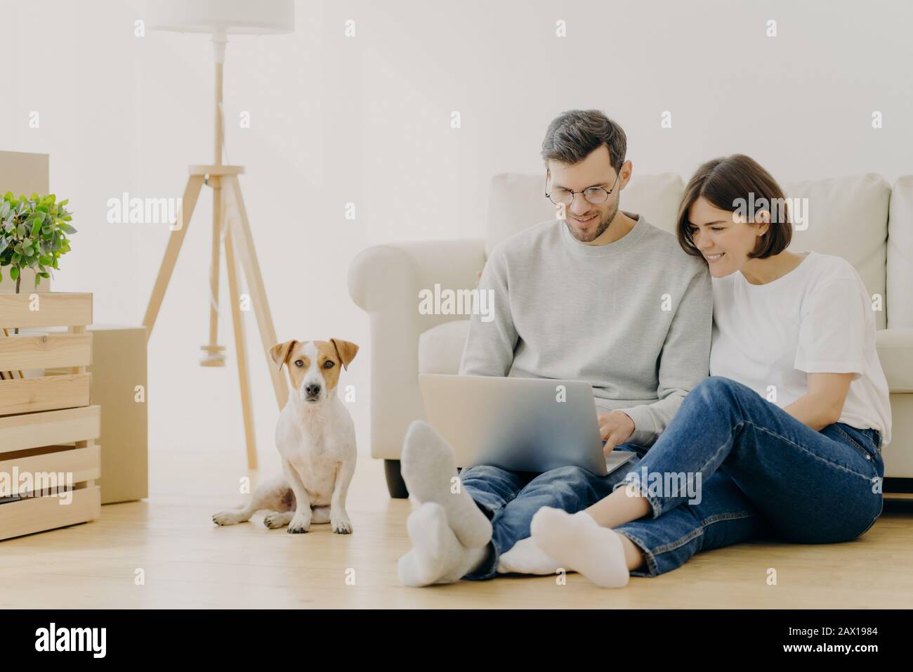 Schönes Paar mit Hund sitzt auf dem Boden in einem geräumigen Wohnzimmer, machen online kaufen, Möbel für neues Zuhause kaufen, Habseligkeiten auspacken, ha haben Stockfoto