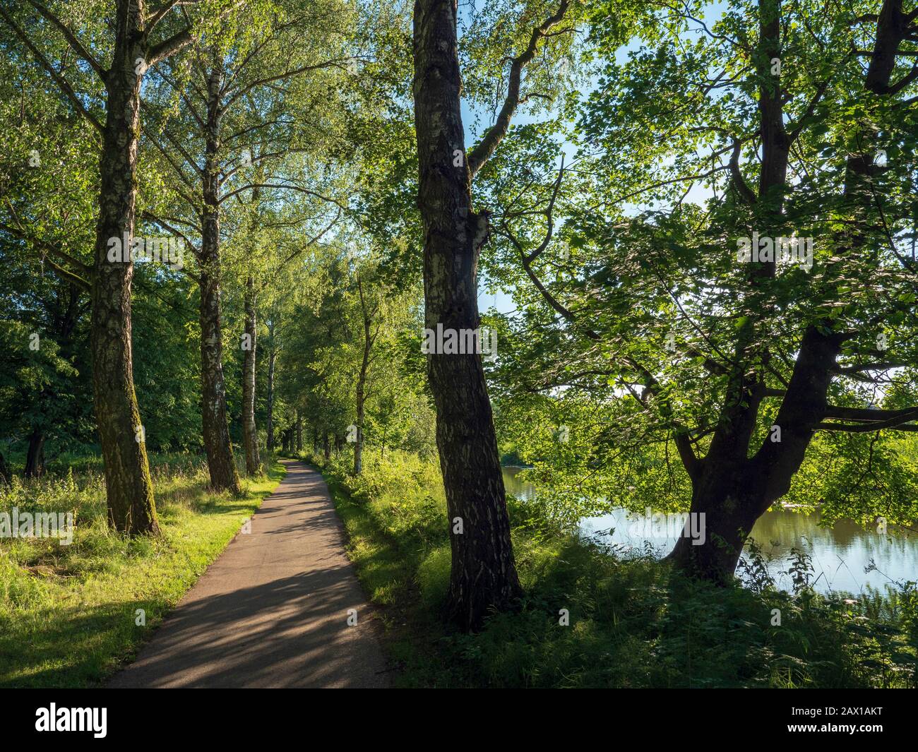 Oettingen, Weg an der Wöritz, Nördlinger Ries, Franken, Bayern, Deutschland Oettingen, Weg neben Wöritz, Noerdlinger Ries, Franconia, B. Stockfoto