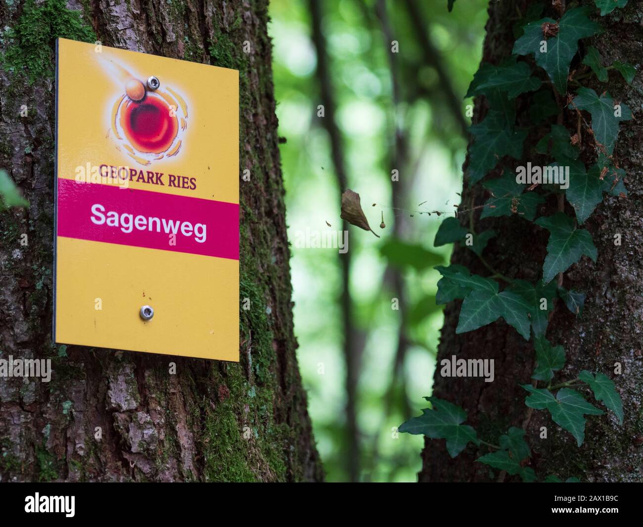 Sagenweg, Wemding, Nördlinger Ries, Franken, Bayern, Deutschland Sagenweg, Wemding, Noerdlinger Ries, Franconia, Bayern, Deutschland Stockfoto