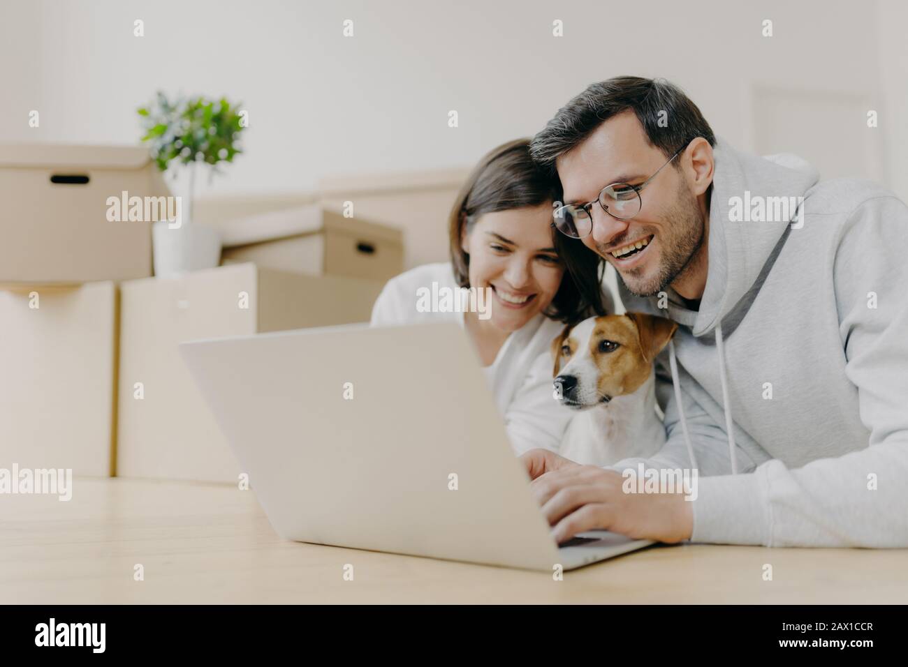 Überfreuliches Familienpaar lachen, während Sie Online-Shops auf einem modernen Laptop mit ihrem Hund ansehen, nach dem Auspacken von Kartons Pause machen, home renovatio Stockfoto