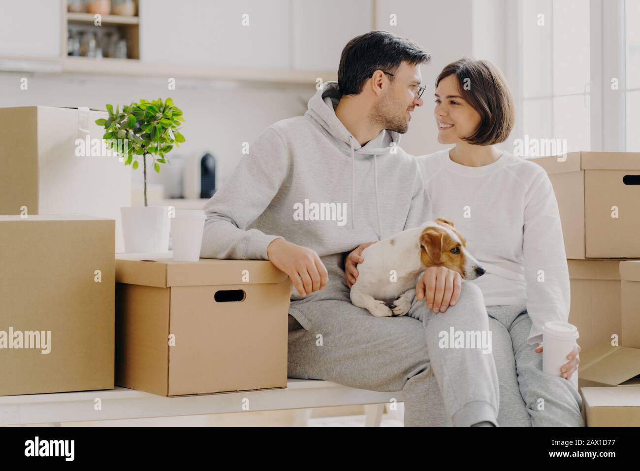 Fröhliche Frau und Mann sehen sich mit Liebe an, haben ein angenehmes Lächeln, tragen lässiges Outfit, posieren mit Haustier um Pappkartons, trinken Stockfoto