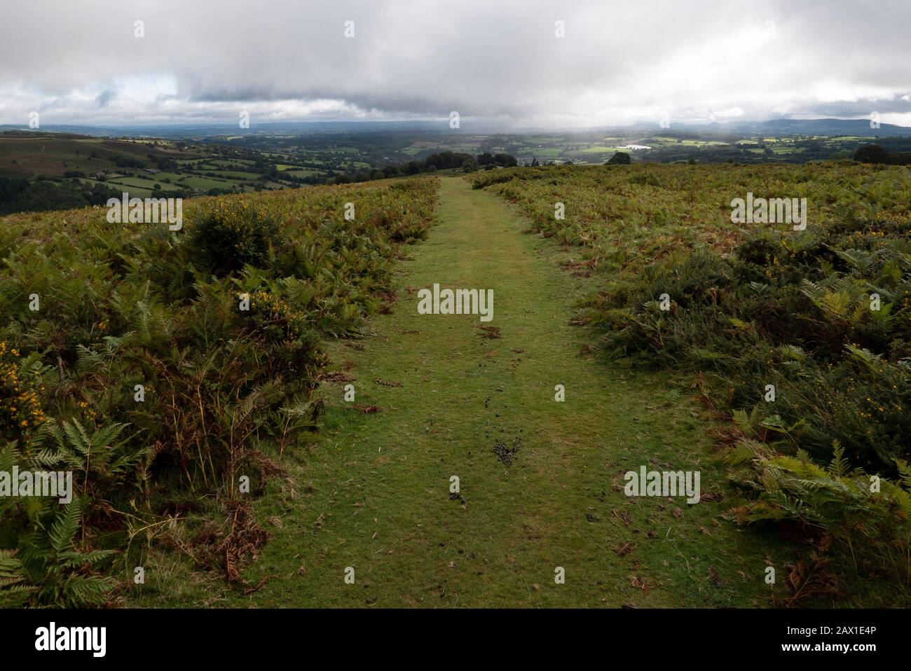 Offa s Dyke ist ein Fernwanderweg an der Grenze zwischen Wales und England, hier in der Nähe von Hay on Wye, beliebt bei ernsthaften Wanderern Stockfoto