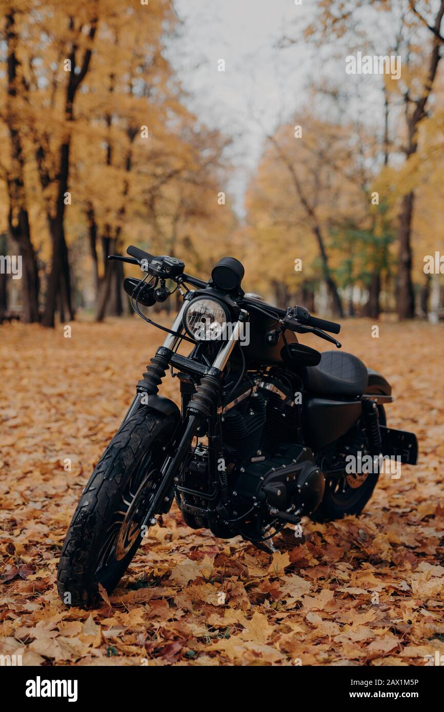 Vertikales Bild von schwarzem Motorrad im Herbstpark. Schnelles Motorrad im Freien zum Mitfahren. Außenaufnahmen. Transport- und Saisonkonzept Stockfoto