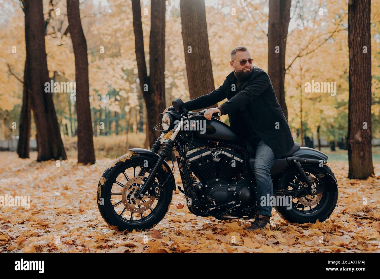 Nachdenkliche Biker fahren schnell mit dem Motorrad, wenden sich ab, merken etwas in Distanz, tragen Sonnenbrille, posieren im herbstlichen Park, fahren in der Natur. Lonel Stockfoto