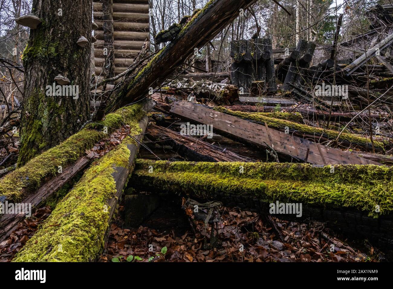 Lange, mit grünem Moos bedeckte Holzstämme brannten an einem wolkigen Herbsttag ruiniert ab. Stockfoto