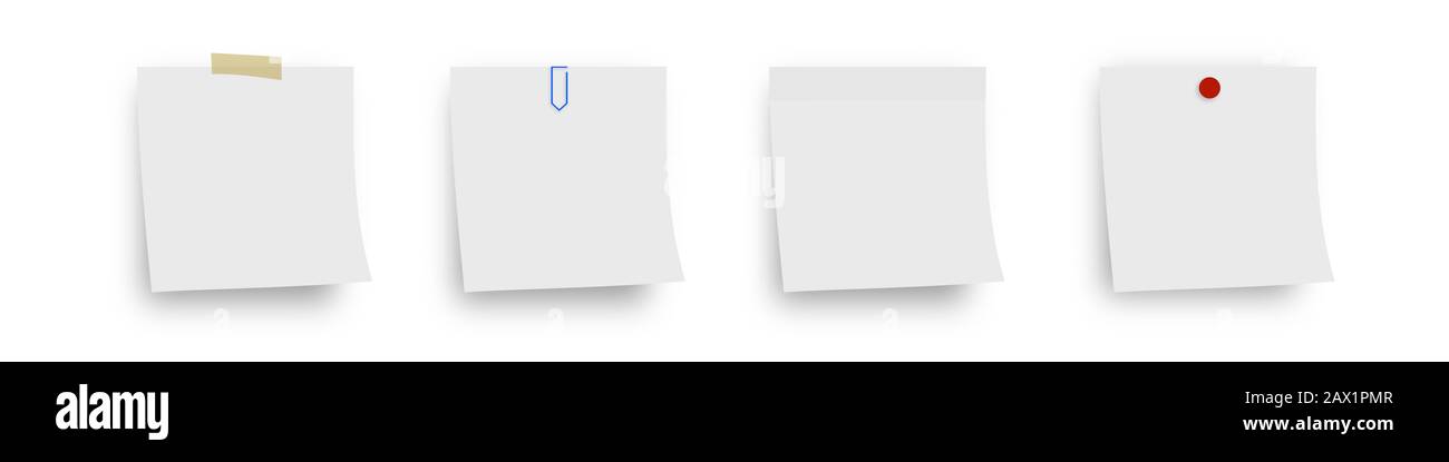 Vier weiße Blätter isoliert auf weiß Stockfoto