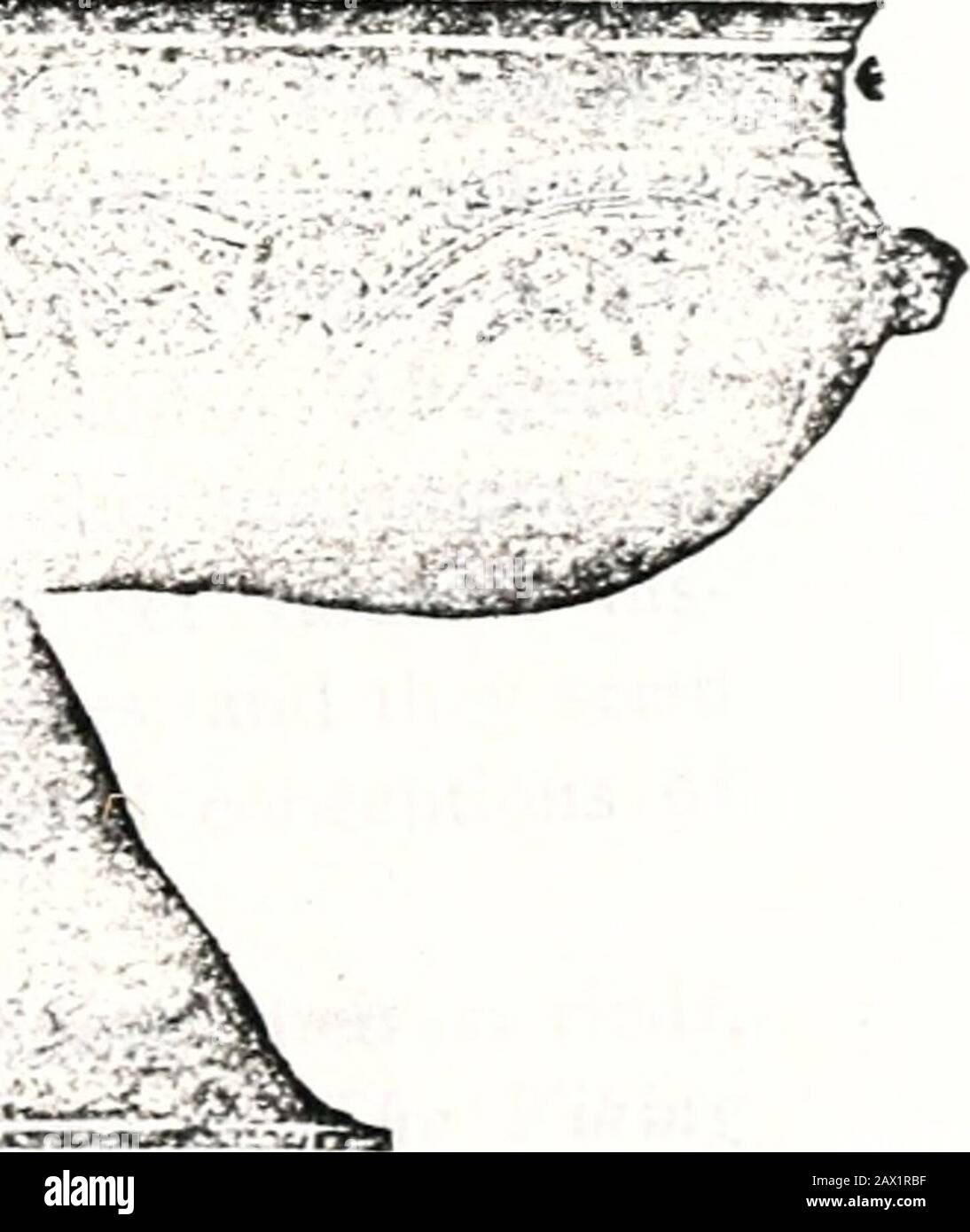 Weitere Baskerville Genealogie: Eine Ergänzung der Genealogie des Autors der Baskerville Familie von 1912; eine Fehlzellierung zusätzlicher Notizen und Skizzen aus späteren Informationen, einschließlich einer Studie über die Familiengeschichte in der Normandie. Silbervase, Zweidrittelkeize, gefunden bei (Ioetlaxd. Der Chef dieser Skalden war Snorre Slurlason, der 1178 in Island geboren wurde und 1241 starb, der sich manyillustren Vorfahren rühmen konnte, sein Großvater war ein Gode oder ein Vorsteher. Er hat eine wertvolle Bibliothek geerbt und war ein großer Büchersammler. Neben kleineren Gedichten komponierte er zwei : wo) ) T<J •• Stockfoto Weitere Baskerville Genealogie: Eine Ergänzung der Genealogie des Autors der Baskerville Familie von 1912; eine Fehlzellierung zusätzlicher Notizen und Skizzen aus späteren Informationen, einschließlich einer Studie über die Familiengeschichte in der Normandie. Silbervase, Zweidrittelkeize, gefunden bei (Ioetlaxd. Der Chef dieser Skalden war Snorre Slurlason, der 1178 in Island geboren wurde und 1241 starb, der sich manyillustren Vorfahren rühmen konnte, sein Großvater war ein Gode oder ein Vorsteher. Er hat eine wertvolle Bibliothek geerbt und war ein großer Büchersammler. Neben kleineren Gedichten komponierte er zwei : wo) ) T<J •• Stockfoto