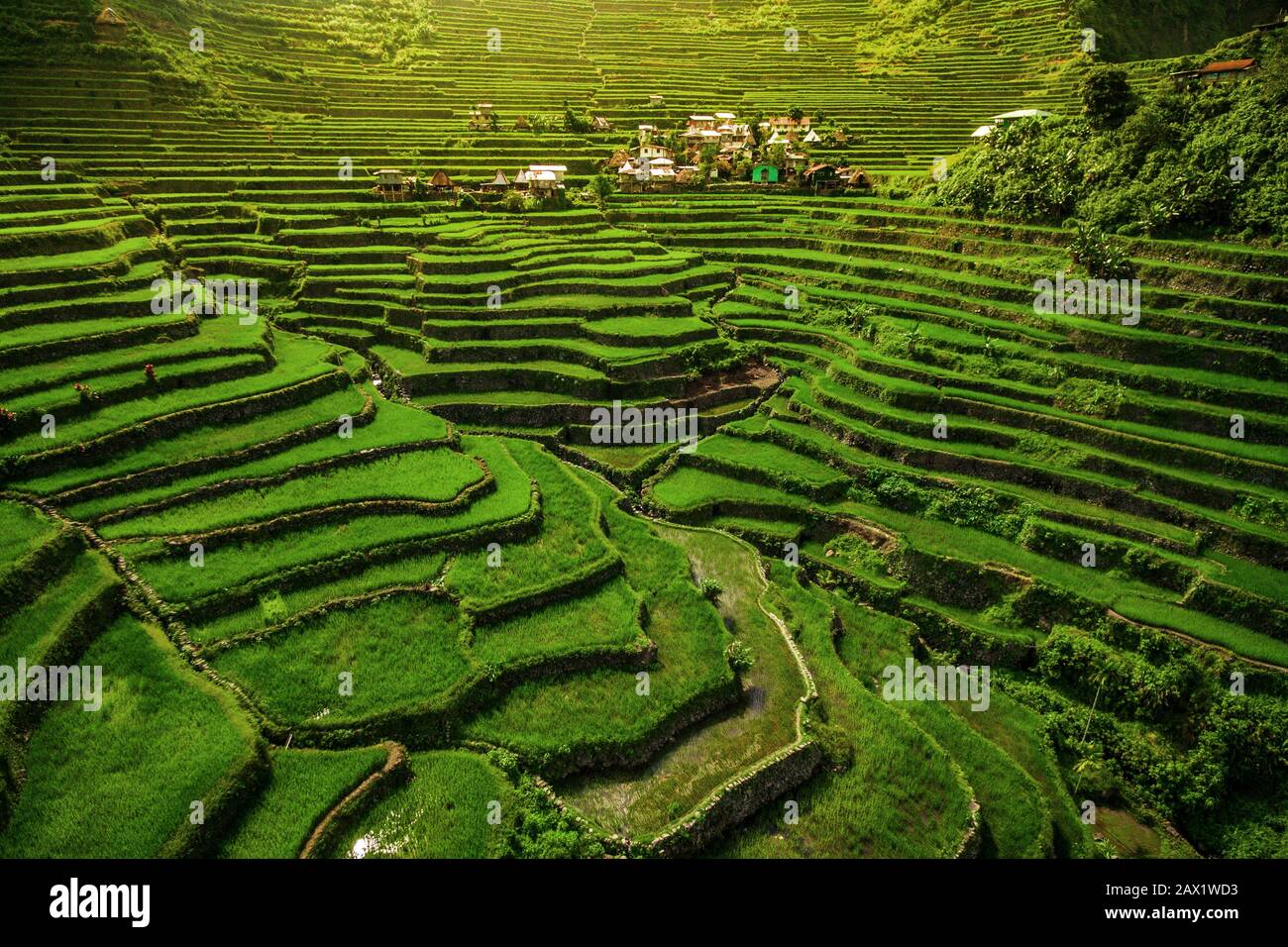 Welterbe Ifugao Rice Terraces in Batad, Nord-Luzon, Philippinen. Stockfoto