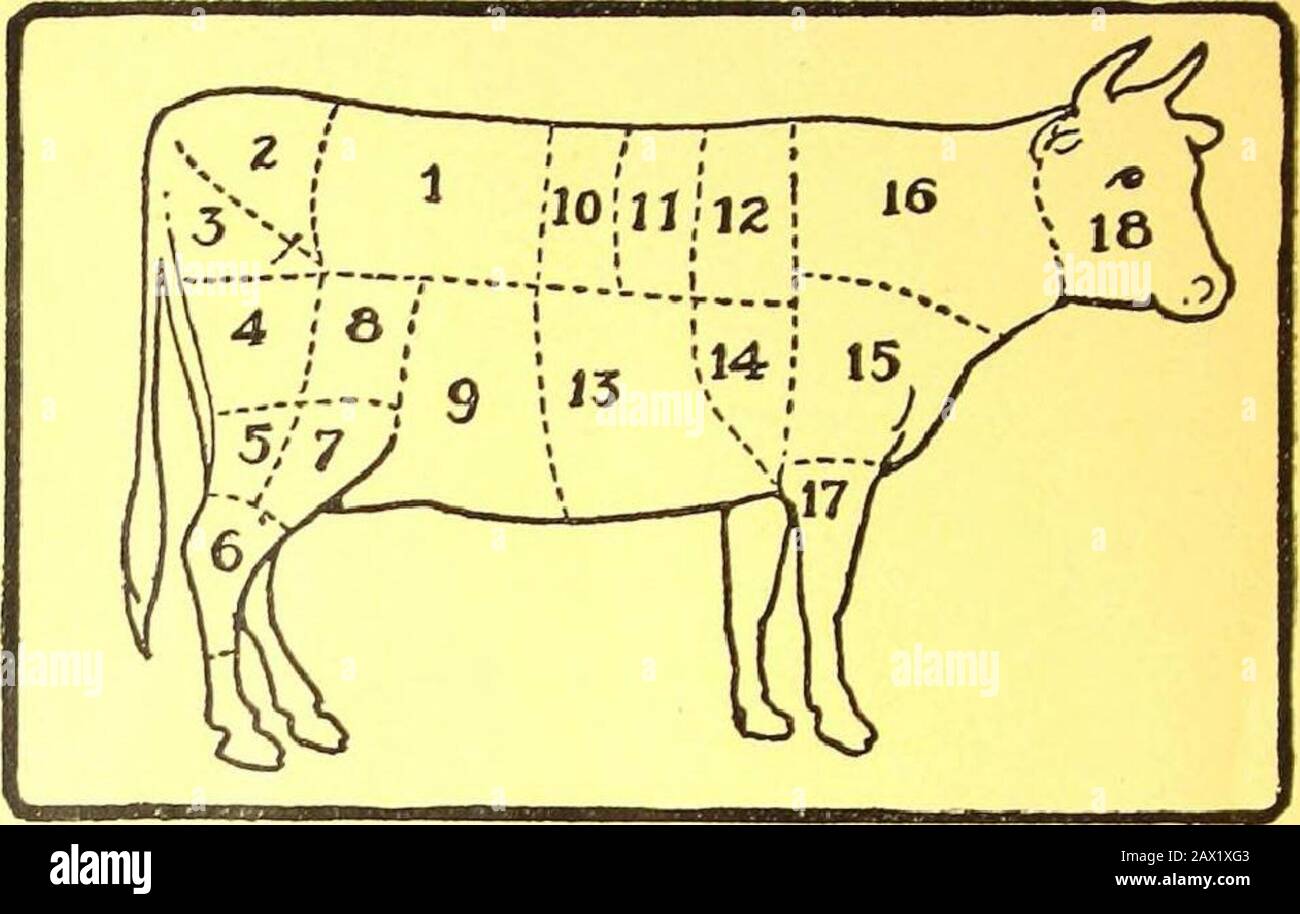 Haushaltshilfe und Katalog der automatischen Öfen von Florenz: Rezepte &  Praktische Vorschläge für das Heim . W, eng in Gläser packen,  eineTeelöffelsalz, einen Teelöffel Zucker, Rillgefäße mit Wasser  hinzufügen. Cookone und eineinhalb