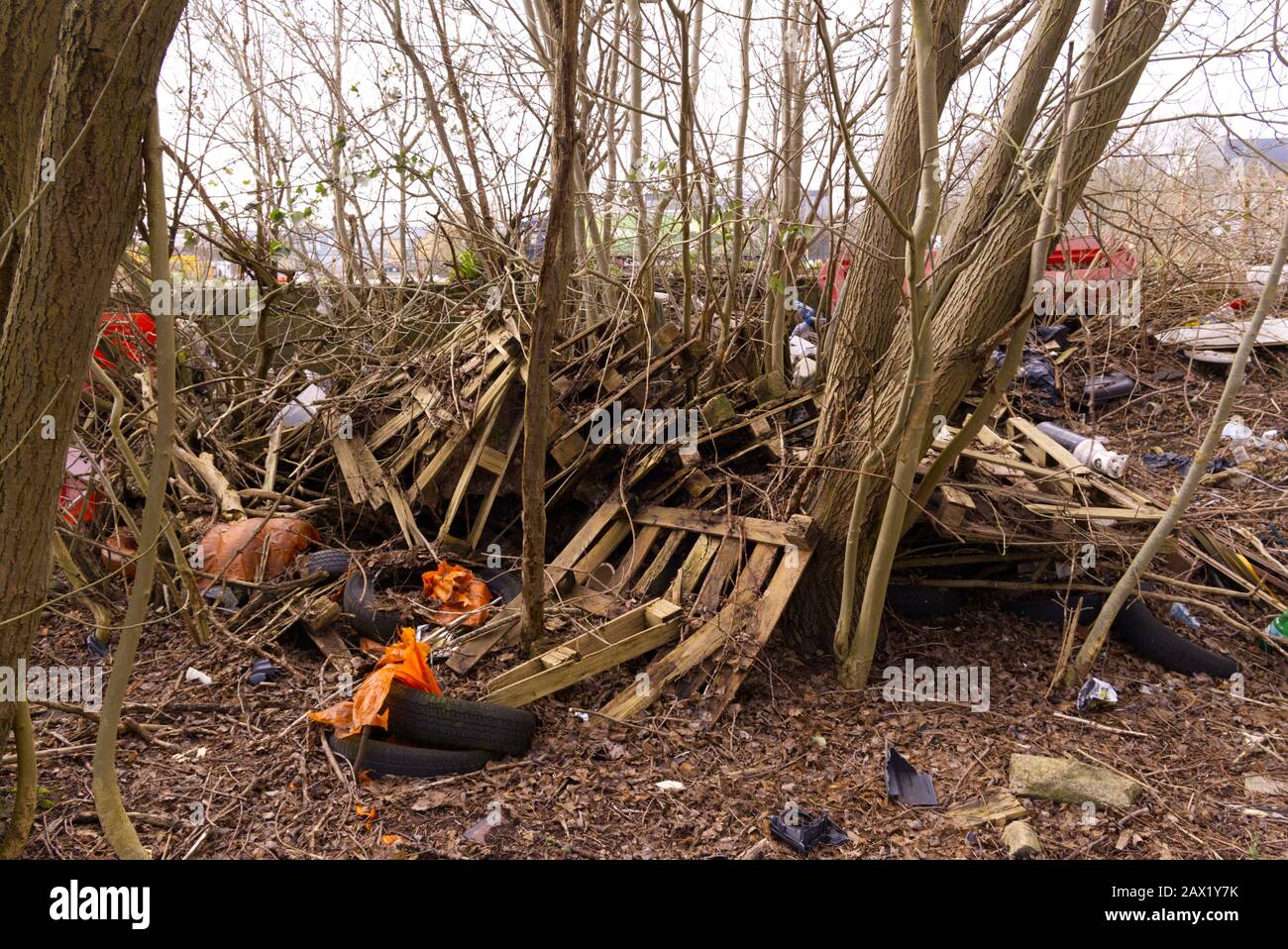 Ansichten darüber, wie Menschen die Umwelt sowohl durch Unwissenheit als auch Faulheit missbrauchen, die uns alle beeinflusst Stockfoto