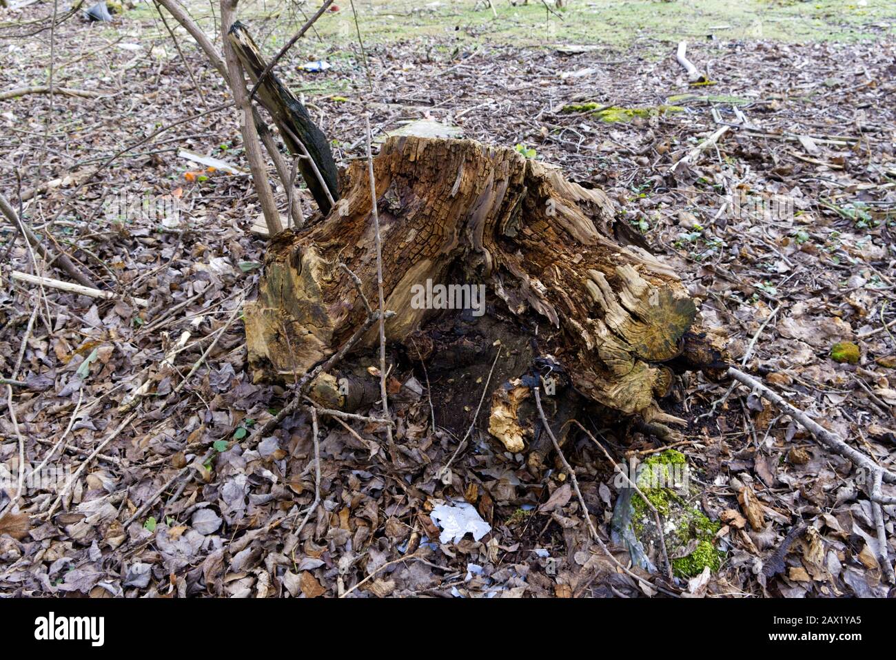 Ansichten darüber, wie Menschen die Umwelt sowohl durch Unwissenheit als auch Faulheit missbrauchen, die uns alle beeinflusst Stockfoto