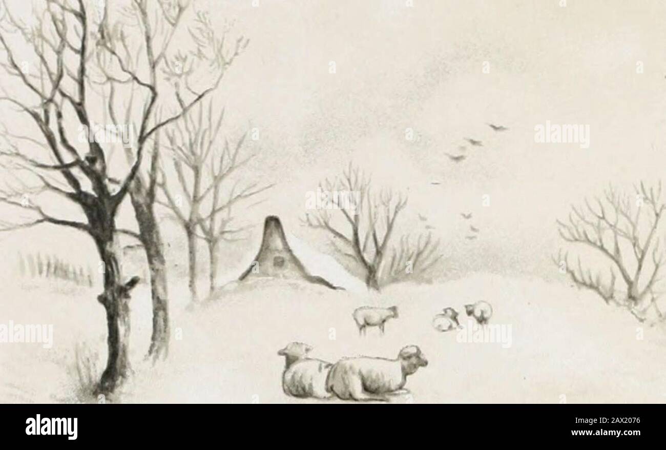 Rosenknospen Und Stechmucken Aus Mrshemans Wordsworth Usw Orii Gt C U H V I Lt Vinvi Cl Yc Xi Rr Gt Ivrc Gt S Eld E Vpl Vioii Nc I Iki Oril Gt I Lt Con Tell Jetty Vocel V C Gt Gt C Cr Jvcd Oil Viov Slnlii Ik Iiiiiv Irilkv J