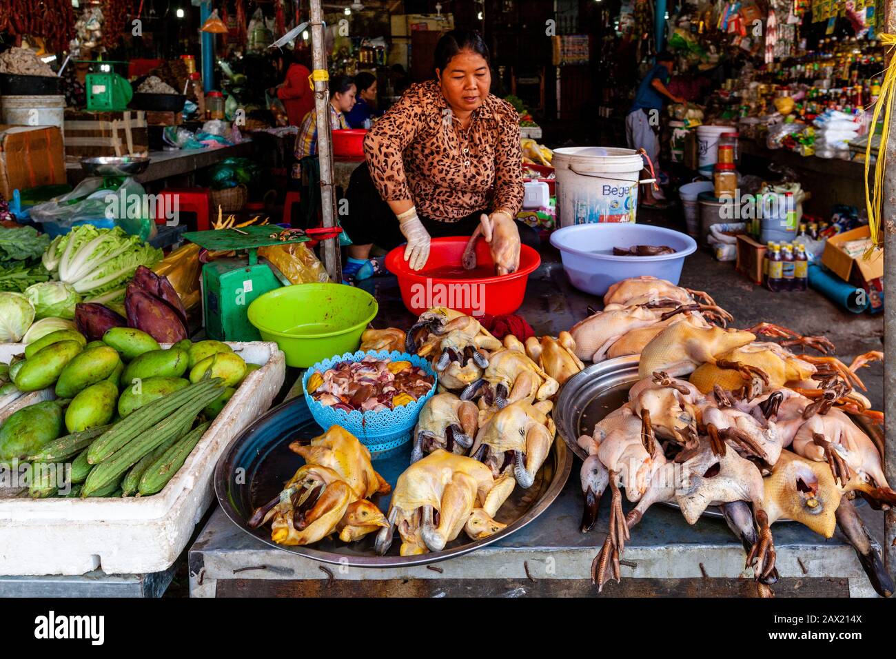 Fresh Chicken and Ducks For Sale At Psar Nath Market (Central Market}, Battambang, Kambodscha. Stockfoto