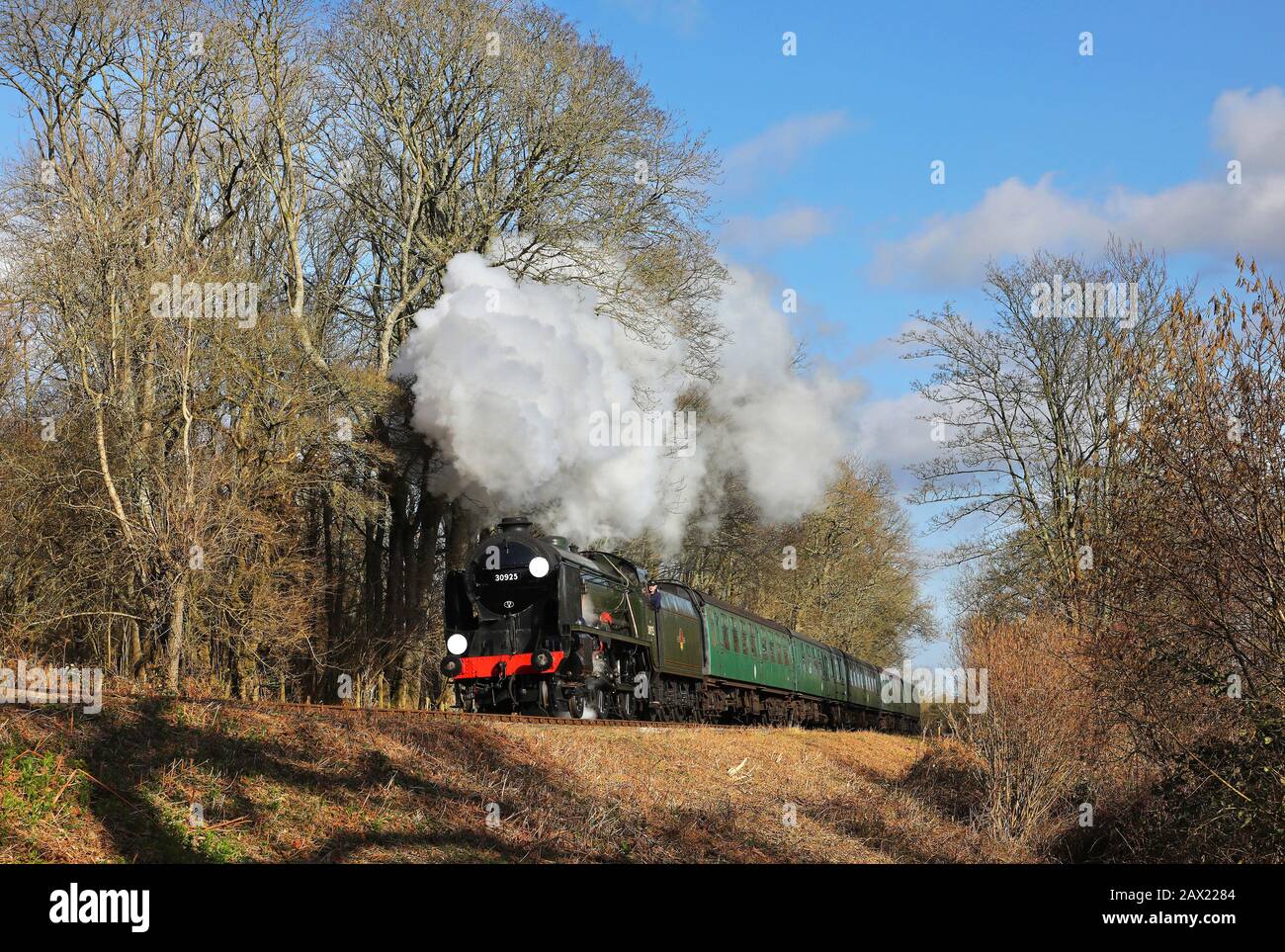 30925 führt auf der Mid Hants Railway durch Chawton Woods. Stockfoto