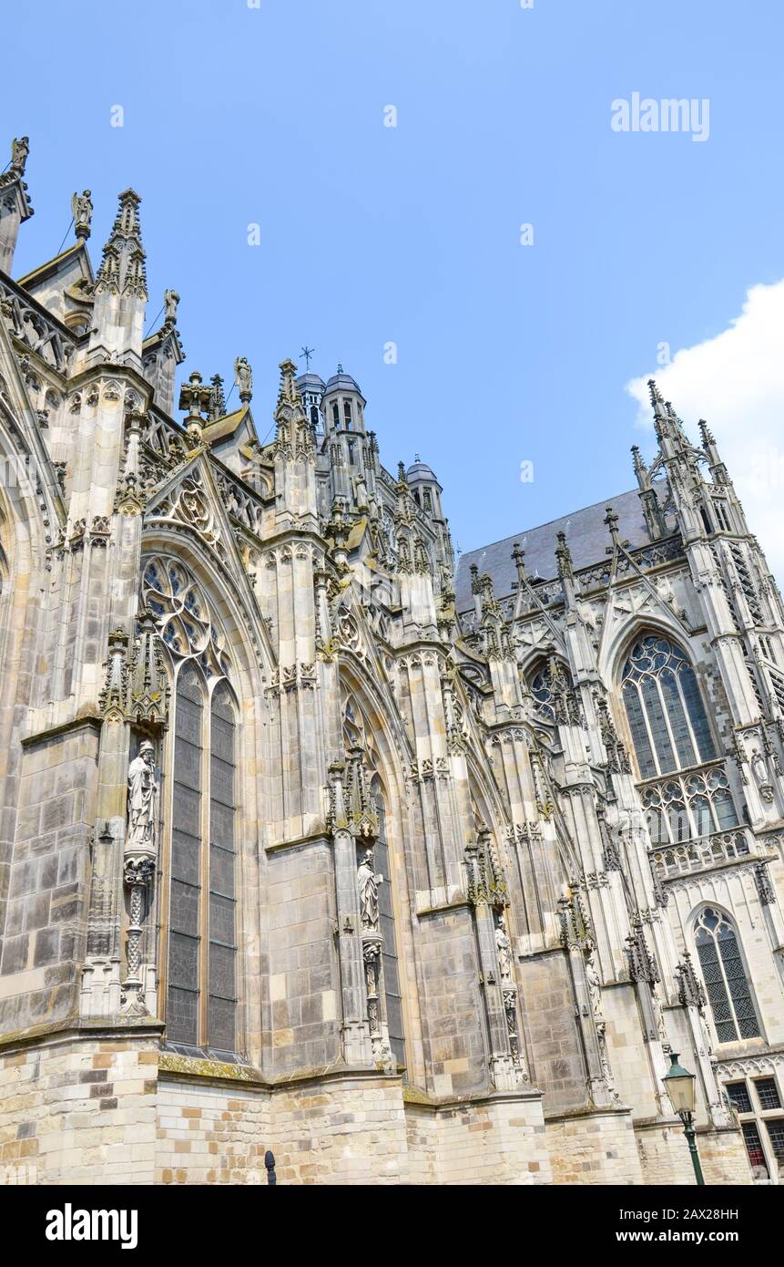 St.-John-Kathedrale in Hertogenbosch, Nordbrabant, Niederlande. Holländische Gotik, die größte katholische Kirche der Niederlande. Dominant im Stadtzentrum. Stockfoto