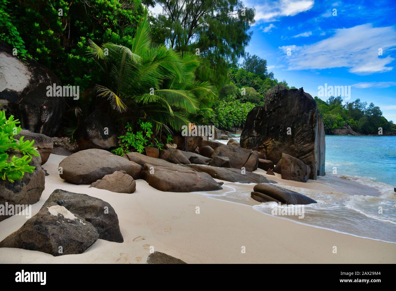 Meereswellen und Granit-Felsen Anse Intendance, Mahe Island, Seychellen. Palmbäume, Sand, abstürmende Wellen, schönes Ufer, blauer Himmel und türkisfarbenes Wasser Stockfoto