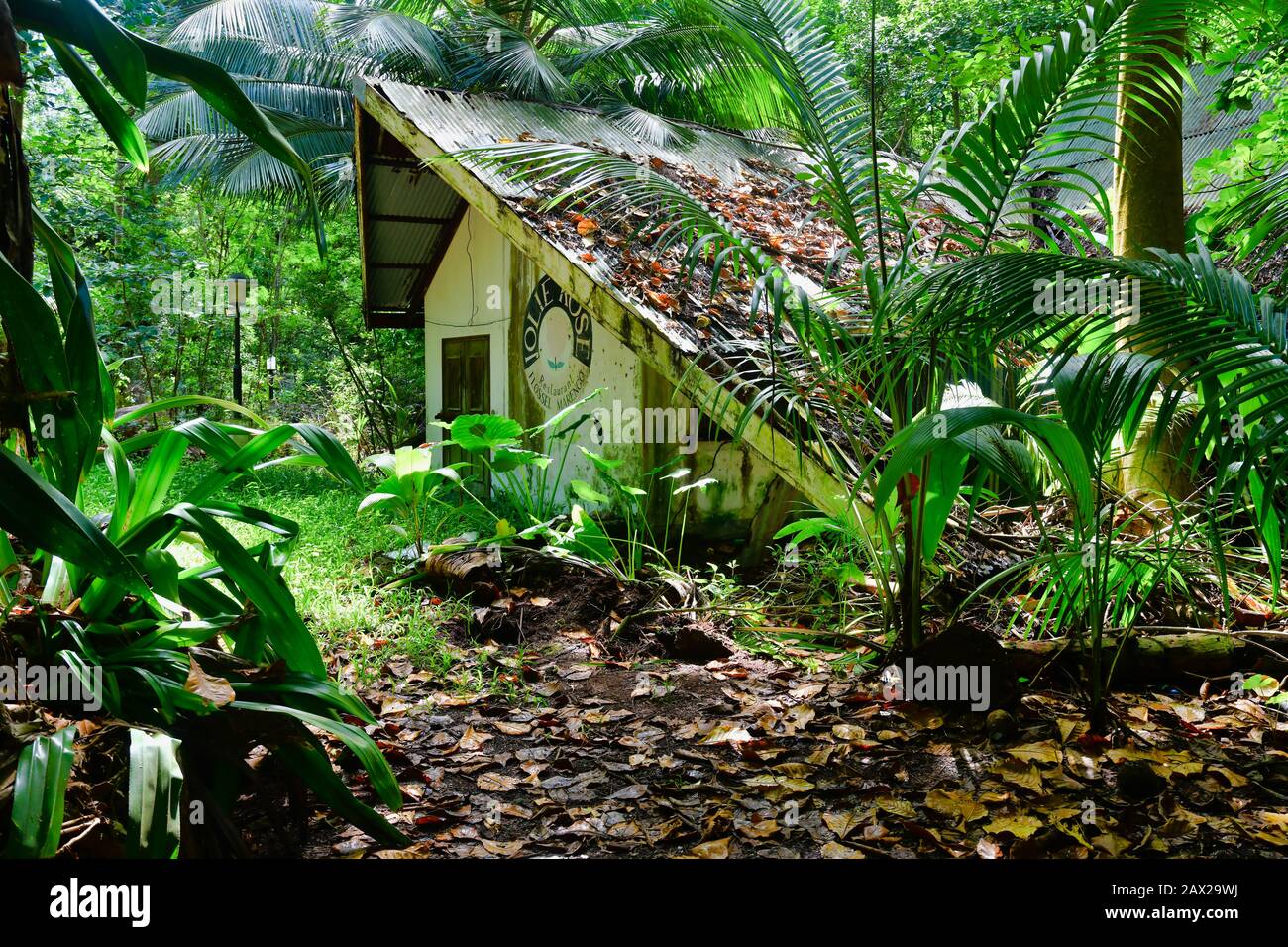 Mahe Island Seychellen - 10. November 2019: Altes Haus im Dschungel verlassen. Stockfoto