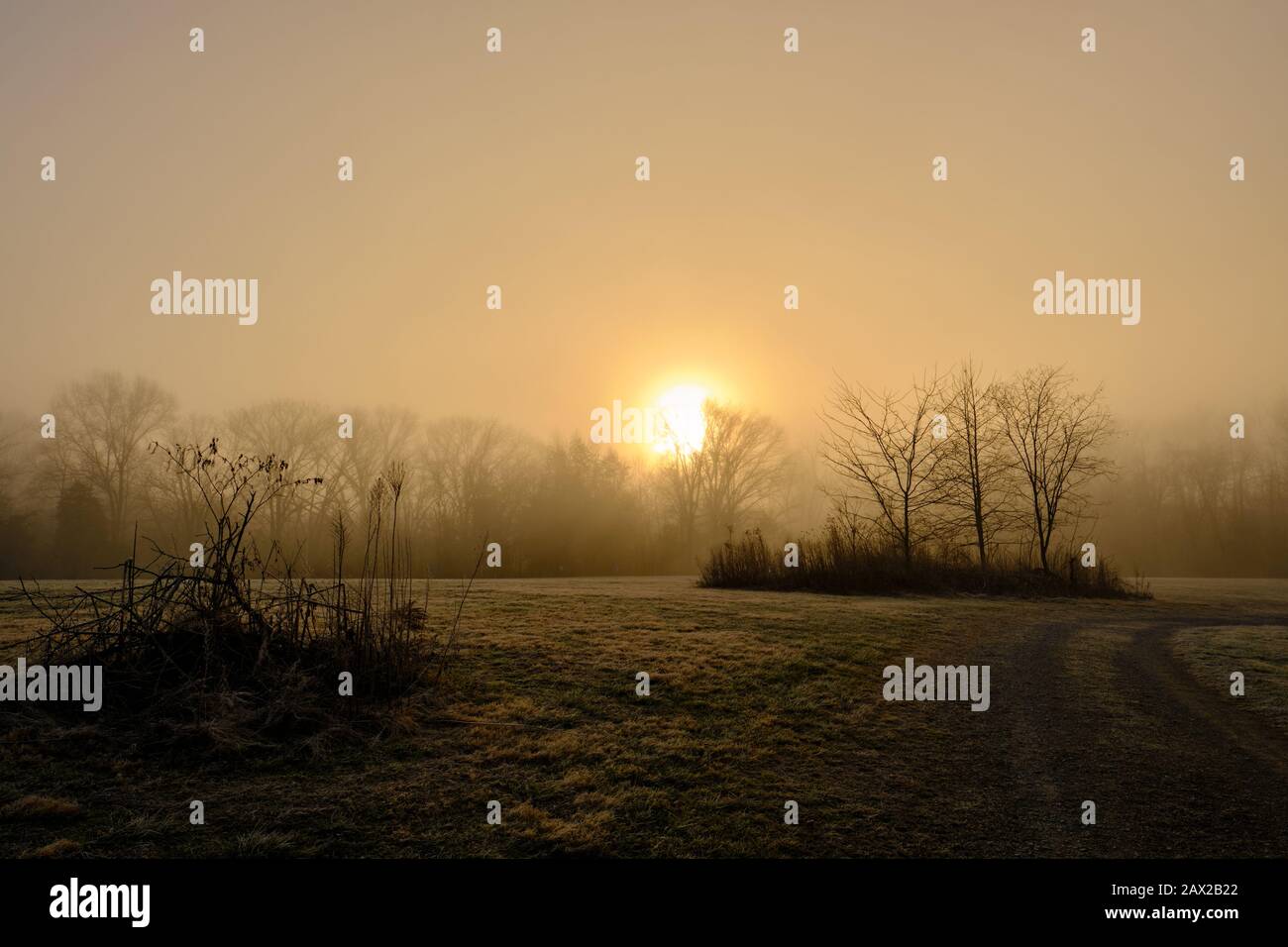 Ein nebeliger Morgenaufgang in der Kälte des Winters. Stockfoto