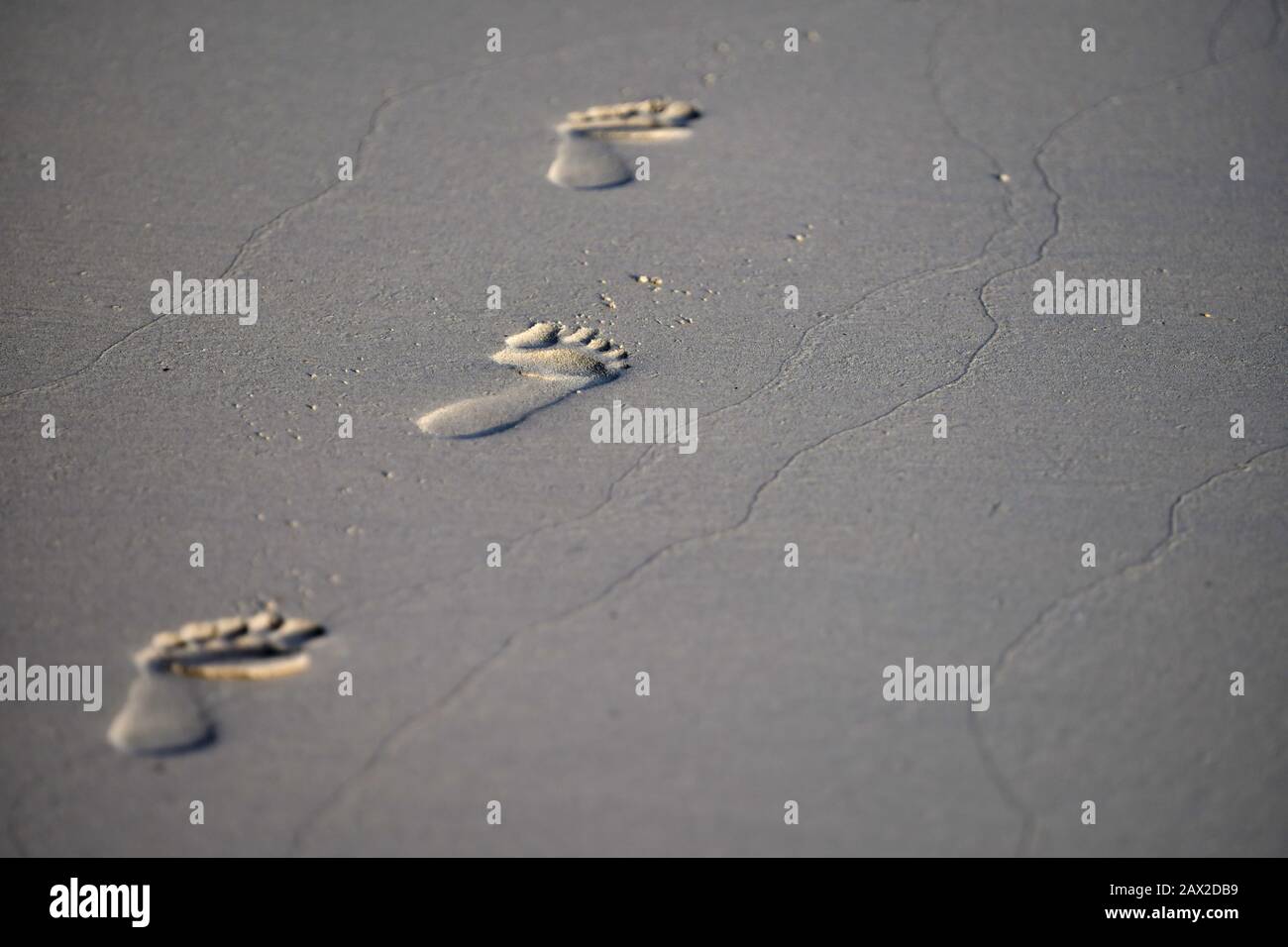 3 Fußabdrücke auf dem grauen Sand, Weitschuss. Textfeld rechts. Stockfoto