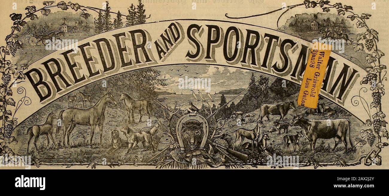 Züchter und Sportler . Bd. XXXI. Nr. 10.Nr. 313 BUSH STRASSE. SAN FRANCISCO, SAMSTAG, 4. SEPTEMBER 1897. SUBSCRIPTIONTHREE DOLLAR AYEAB DIE WILLOW-RENNEN. Ein Brillantes Wind-Up-how, das die Verschiedenen RacesWere Gewannen. DONNERSTAG, 26. AUGUST. Die ermutigendste Versammlung der Woche zierte heute Nachmittag den großen Stand und das Gelände, und es war zu kühn, dass eine der Veranstaltungen durchgefallen sein sollte, Leavingbut an den zweijährigen Trab und Ihree-old Pace Down Fordecision. Prinz Ansel war ein 10 bis 5-Favorit über die Feldherren für das Eröffnungsrennen, und er Bpreadeagled seine vier Opponentsin das erste Viertel, le Stockfoto