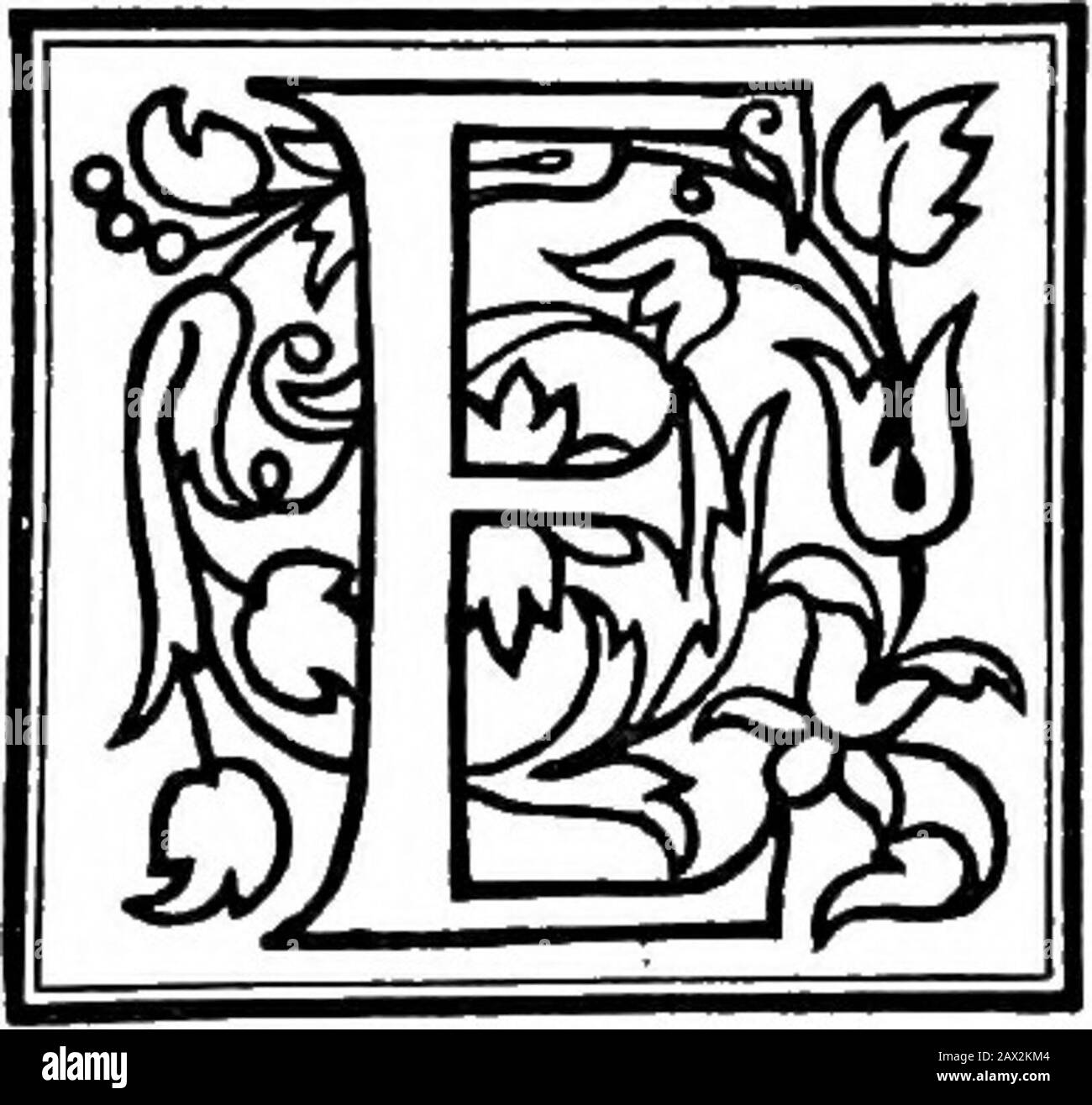 Hobby-Gartenkraft; ein Buch für den Hausmacher und Gartenliebhaber. Ntionen, unter denen die Neubepflanzung erfolgen muss. Jeder Hausbesitzer muss diese Angelegenheit selbst entscheiden, aber ich würde urgesagen, dass keine Entscheidung getroffen wird, ohne sich vorher mit der Wirkung von den von Ihnen ausgewählten Treesyou vertraut zu machen, da Sie sie auf dem Gelände Ihrer Nachbarn wachsen sehen können. Machen Sie nicht den Fehler, so dickflüssig zu Pflanzen, dass nach einigen Jahren ein Dschungel entsteht. Um sich selbst gerecht zu werden, muss jeder Baum über ihn hinaus auf allen Seiten ausreichend Platz haben, damit er seine Reize vollständig anzeigen kann. Dieser Baum kann mich nicht überfüllt haben Stockfoto