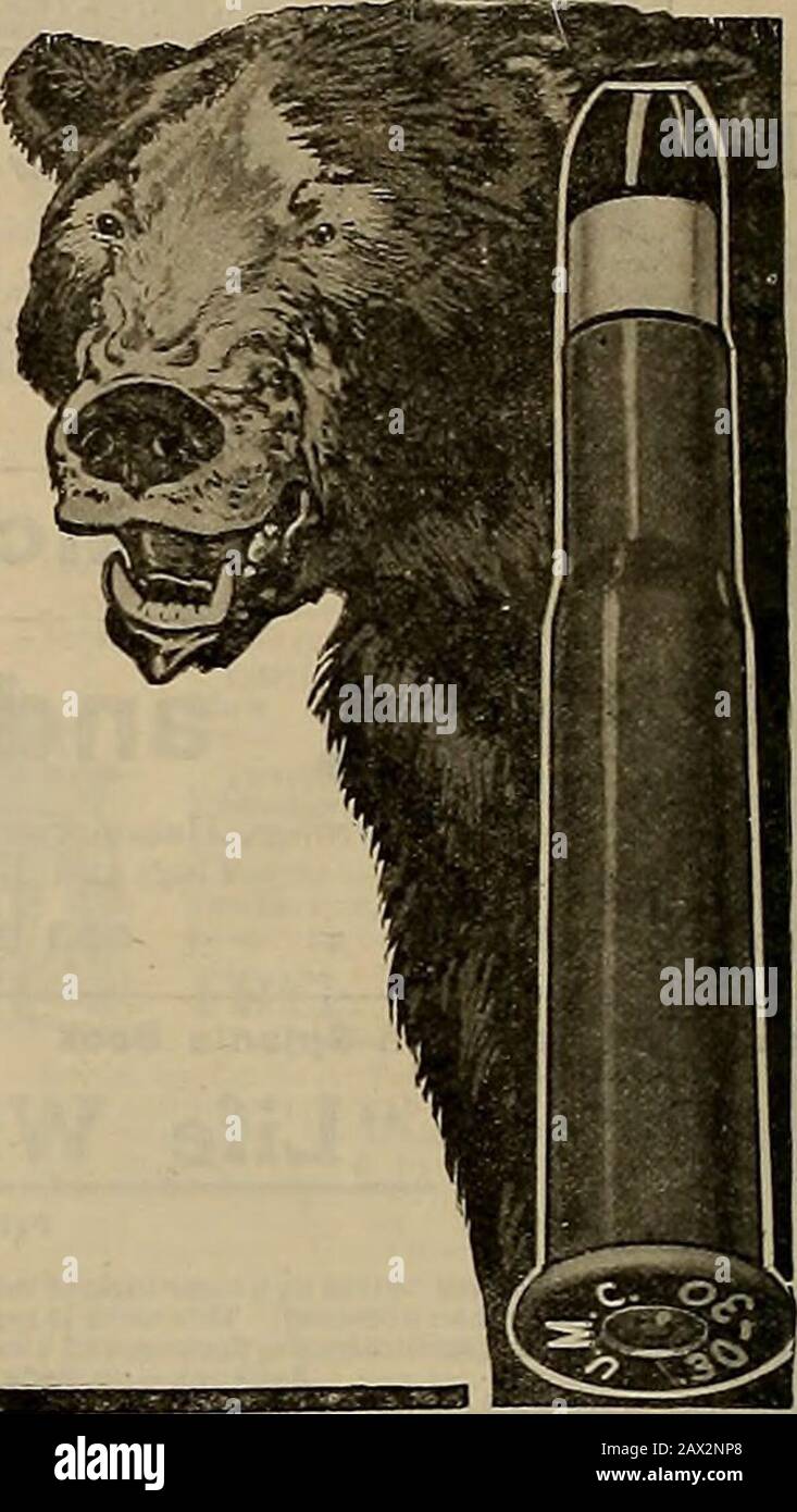 Züchter und Sportler . VRSE-STIEFEL UMC GROSSE SPIELKASSETTEN werden von Patronenspezialisten für Remington und alle anderen Gewehre hergestellt - wie Marlin, Win-chester, Savage, Stevens usw. Ihr Gewehr wird leicht auf ein perfektes Ziel reagieren, wenn Sie die zuverlässige und bewährte UMC-Art verwenden. Die Bleibelichtung von U Al C-Weichpunkt-Kugeln wird wissenschaftlich von den UMC-Patronenspezialisten bestimmt. Wenn dein Ziel stimmt, bekommst du das Spiel. UMC Kam Kostenlos Zu Laws & Guide Directory. Die GEWERKSCHAFT METALLIC CARTRIDGE CO, BRIDGEPORT, CONN.Agency, 315 Broadway, New York City. Stockfoto