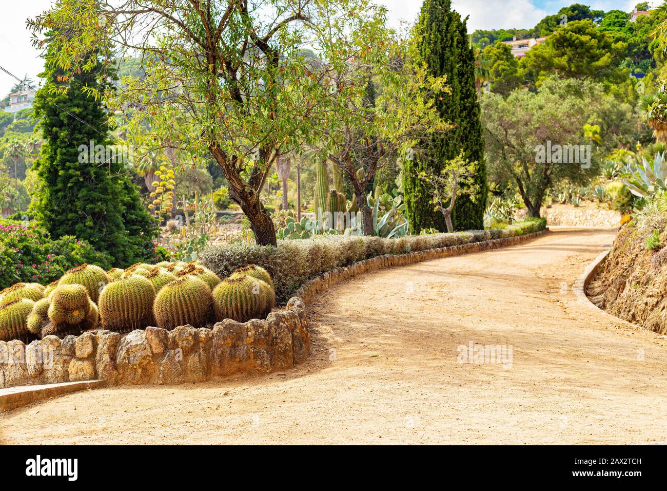 Ein Pfad zwischen Kakteen und Sukkulenten im Pinya de Rosa Sukkulenten Garten in Spanien. Stockfoto