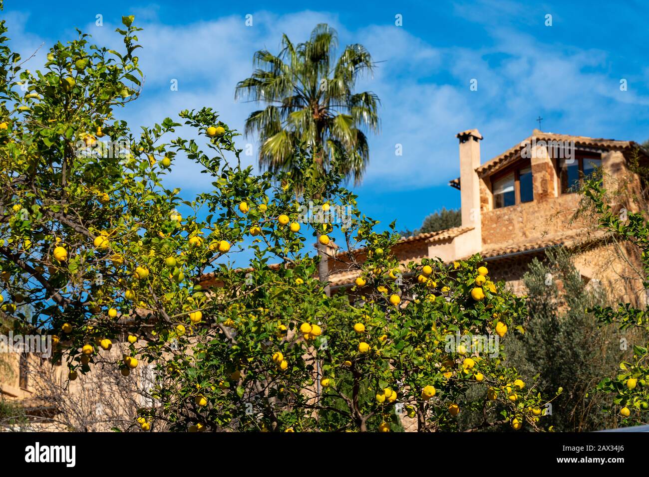 Das Dorf Deiˆ im Nordwesten der Insel, Serra de Tramuntana, Mallorca, Spanien, Stockfoto