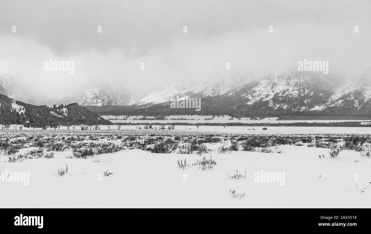 Grand Teton Nationalpark, Wyoming Stockfoto