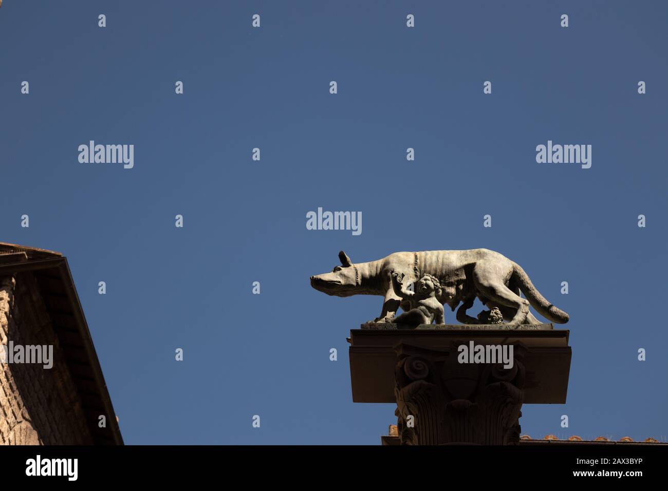 Statue des Kapitolinischen Wolfes Sohn von Remus und Neffe von Romulus in Sienna Toskana Italien gegen einen klaren blauen Himmel Stockfoto